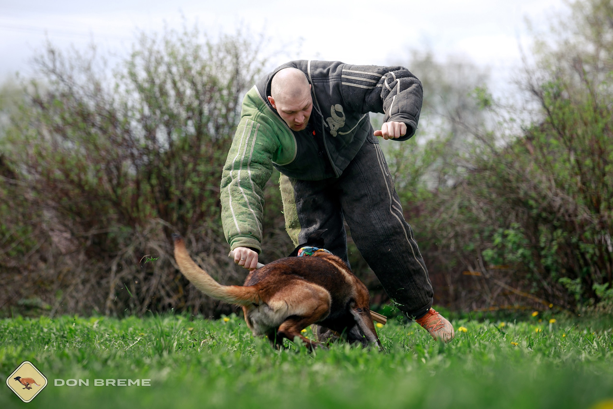 Семинар для фигурантов, день 2. Фотограф-анималист Mary Mart — Москва, Питер
