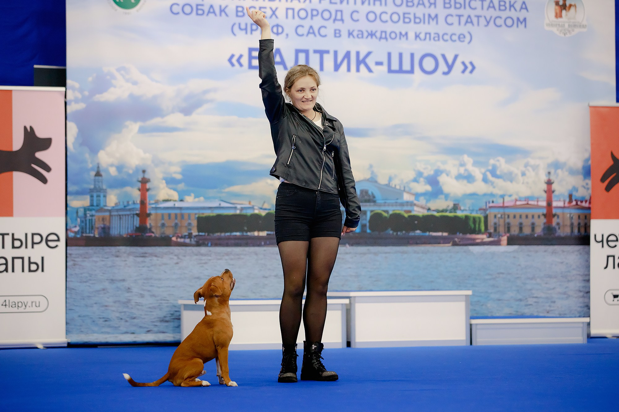 Танцы на выставке «Зоошоу», СПб. Фотограф-анималист Mary Mart — Москва, Питер