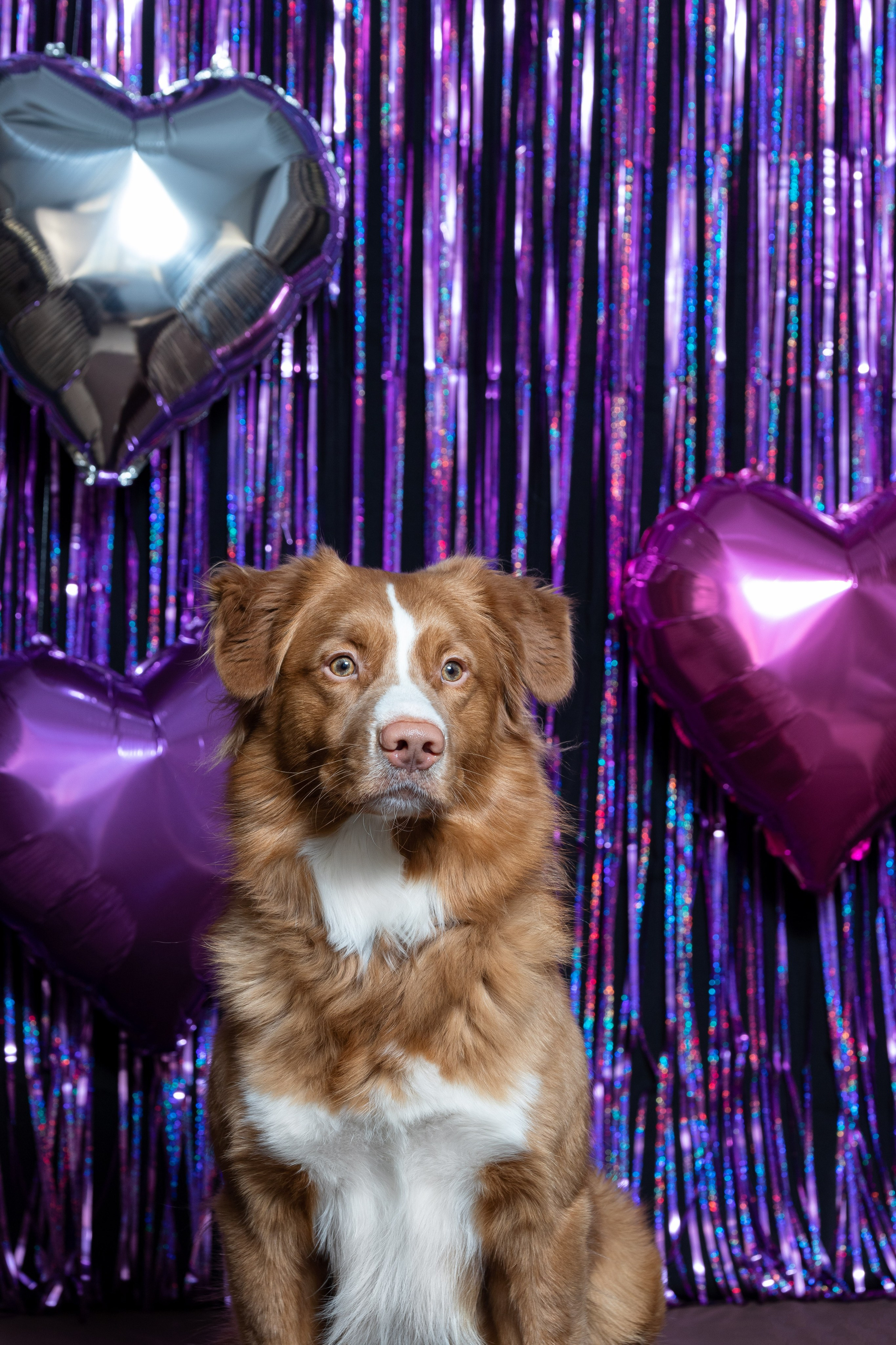 Ричард. Юлия Микульская. Рыбинск