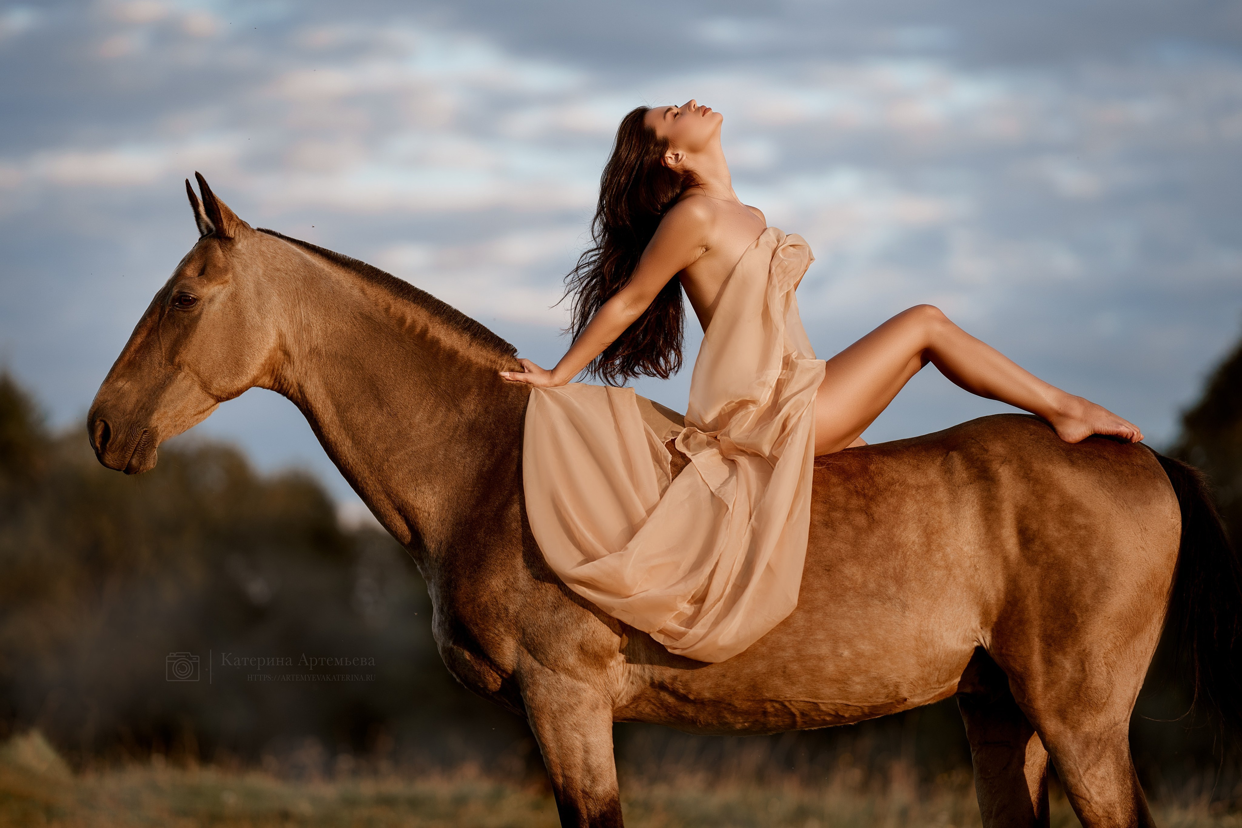 Фотосессии с лошадьми. Фотограф Артемьева Катерина|фотосессии с лошадьми