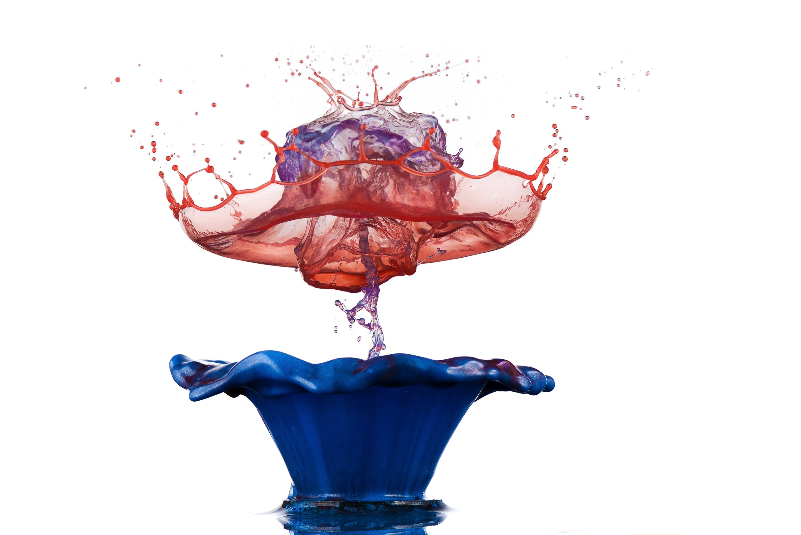 Капли XXL с медузами. Скульптуры из воды Сергея Толмачева