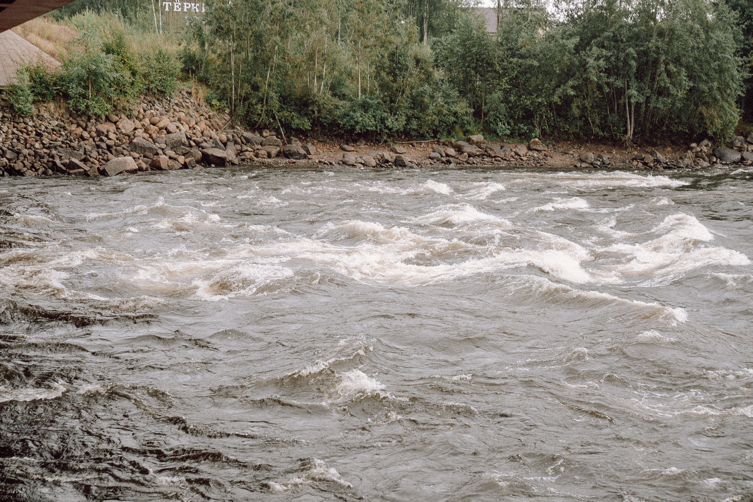 СВАДЕБНАЯ ФОТОСЕССИИЯ ПАРЫ В ГОРОДЕ ПРИОЗЕРСК В СОСНОВОМ ЛЕСУ И С ПИКАПОМ. Профессиональный фотограф, Санкт-Петербург — Виктория Богомолова