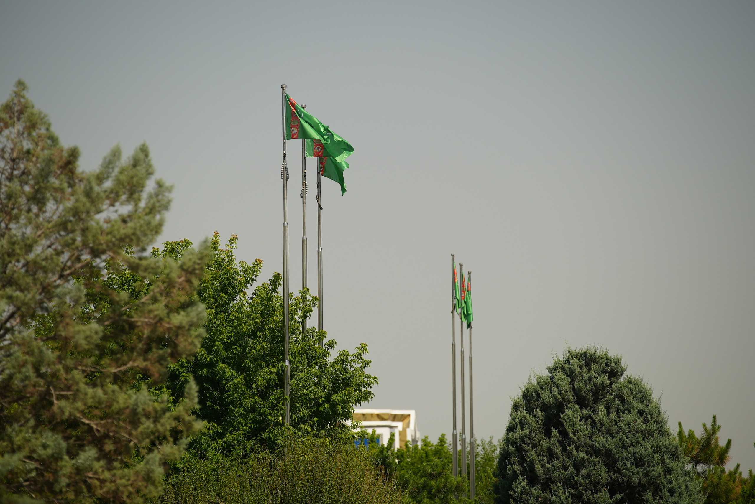 Фото. Ильнур Таминдаров