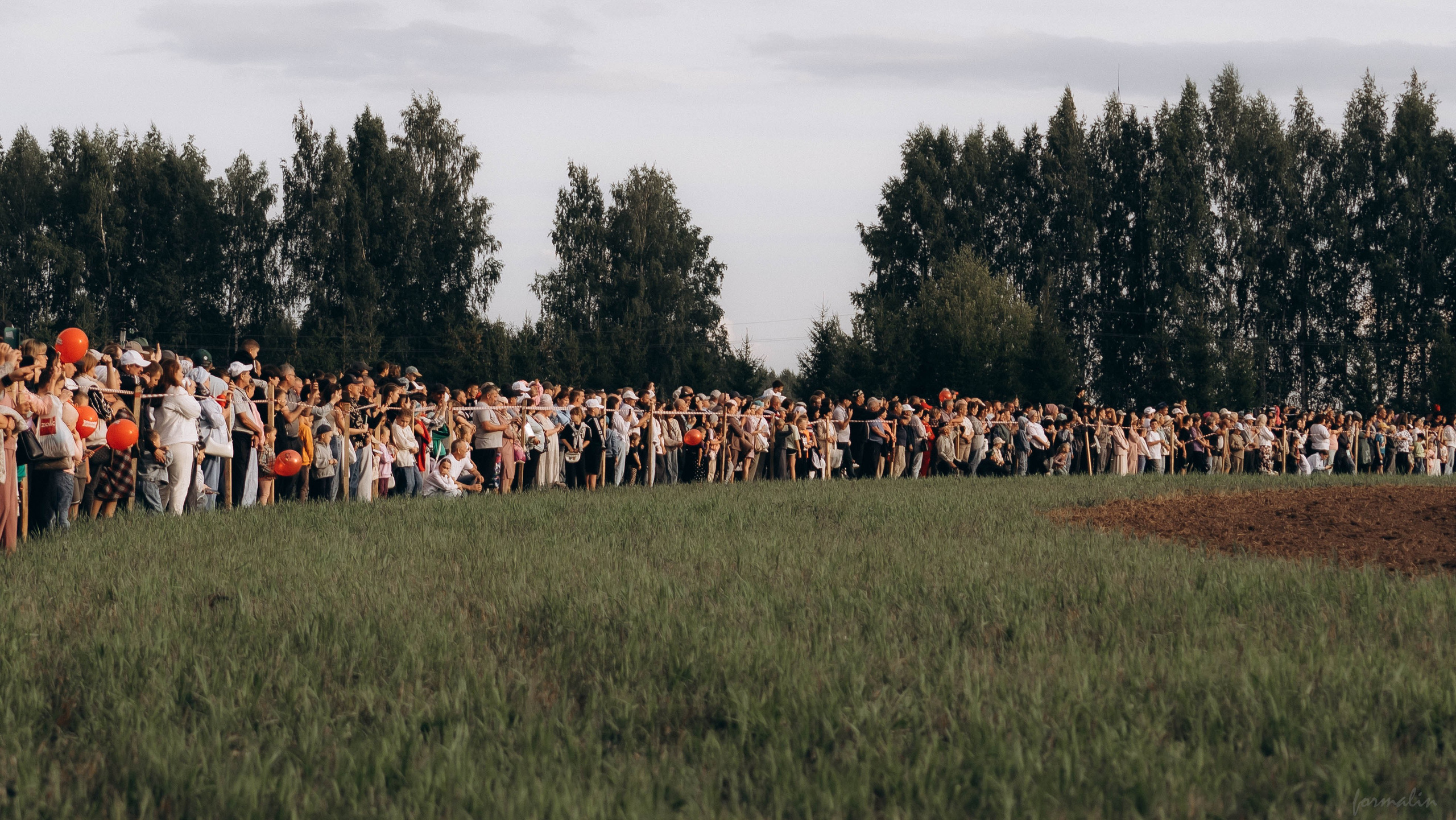 День Коня. Алиса Никитцова | Фотограф в Казани