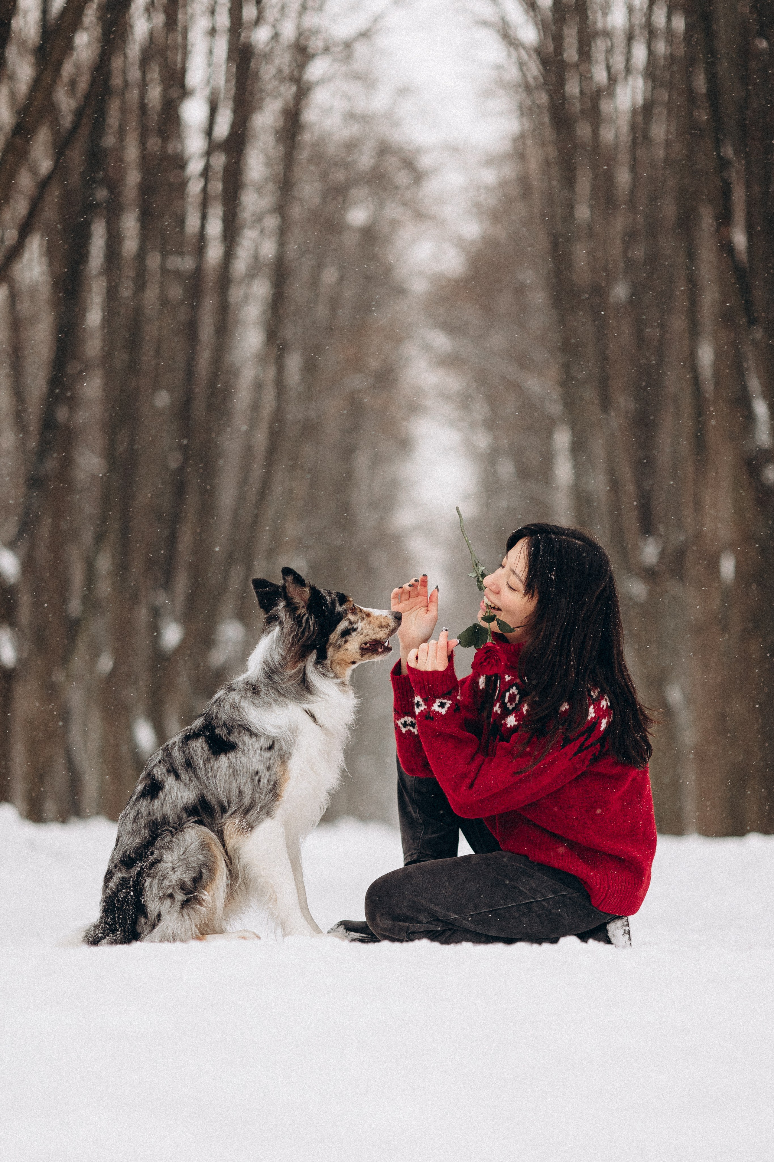 Настя и Тор. Фотораф — анималист Мария Шистка