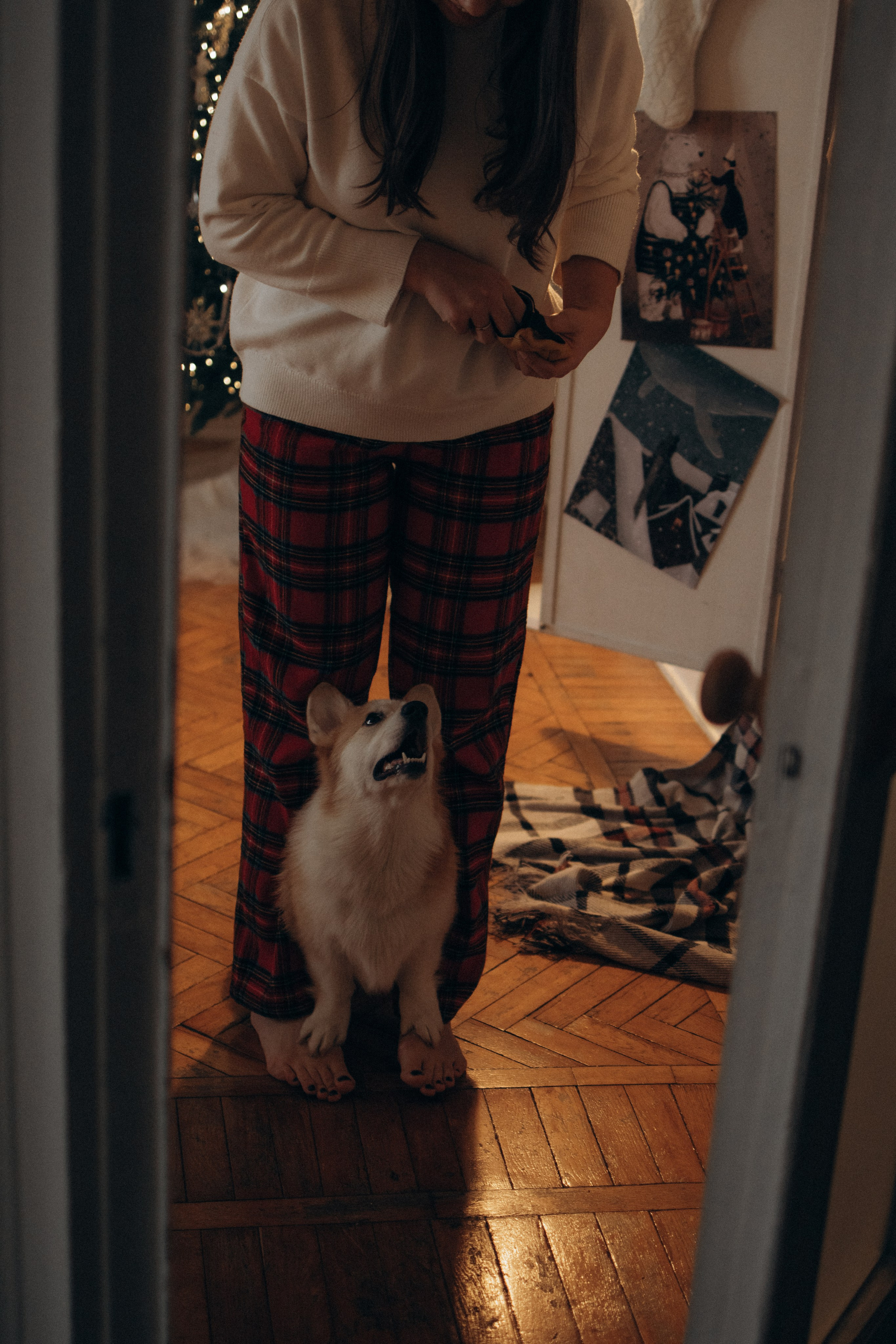 Ронни и Жанна. Фотораф — анималист Мария Шистка