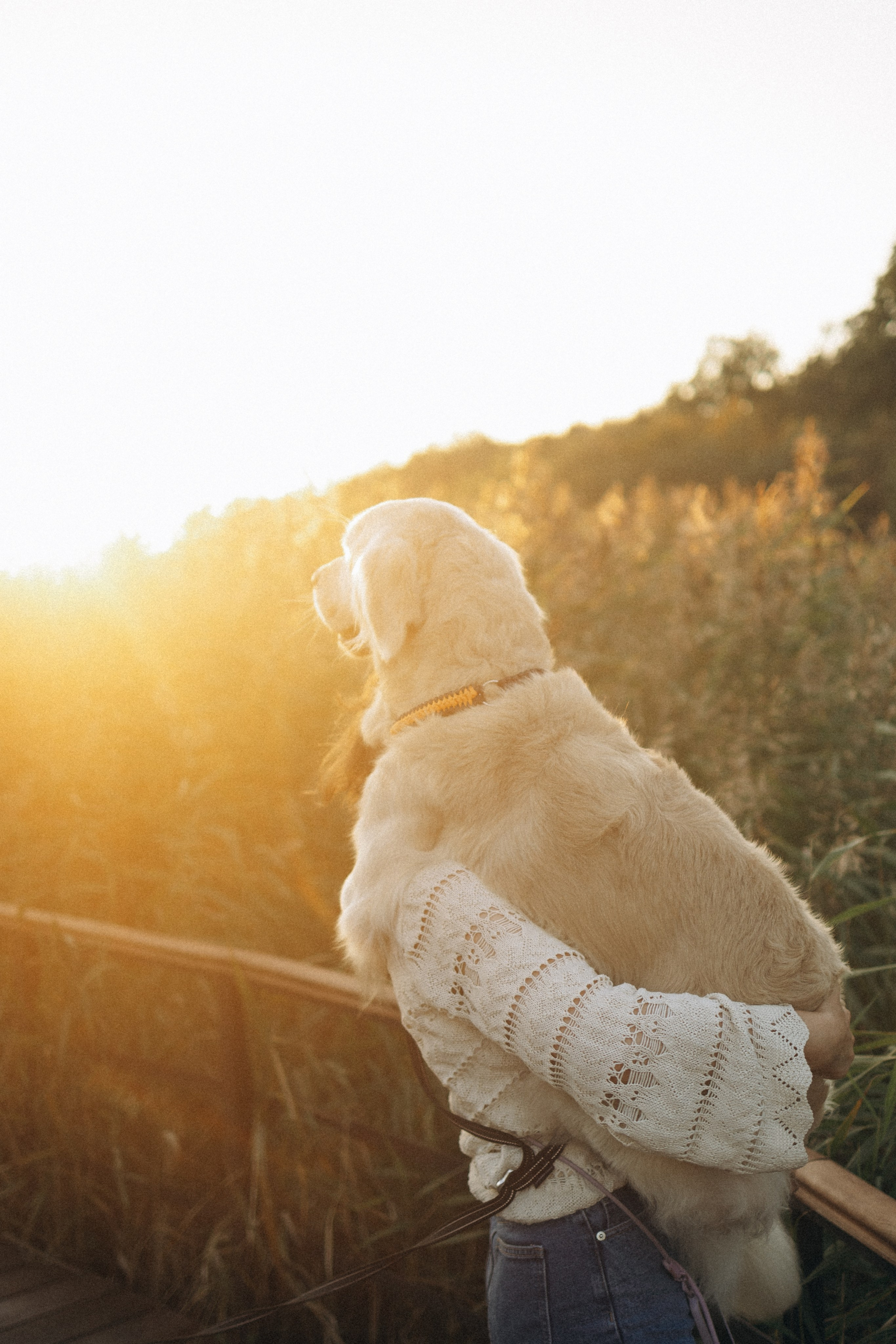 Настя и ее хвостики. Фотораф — анималист Мария Шистка