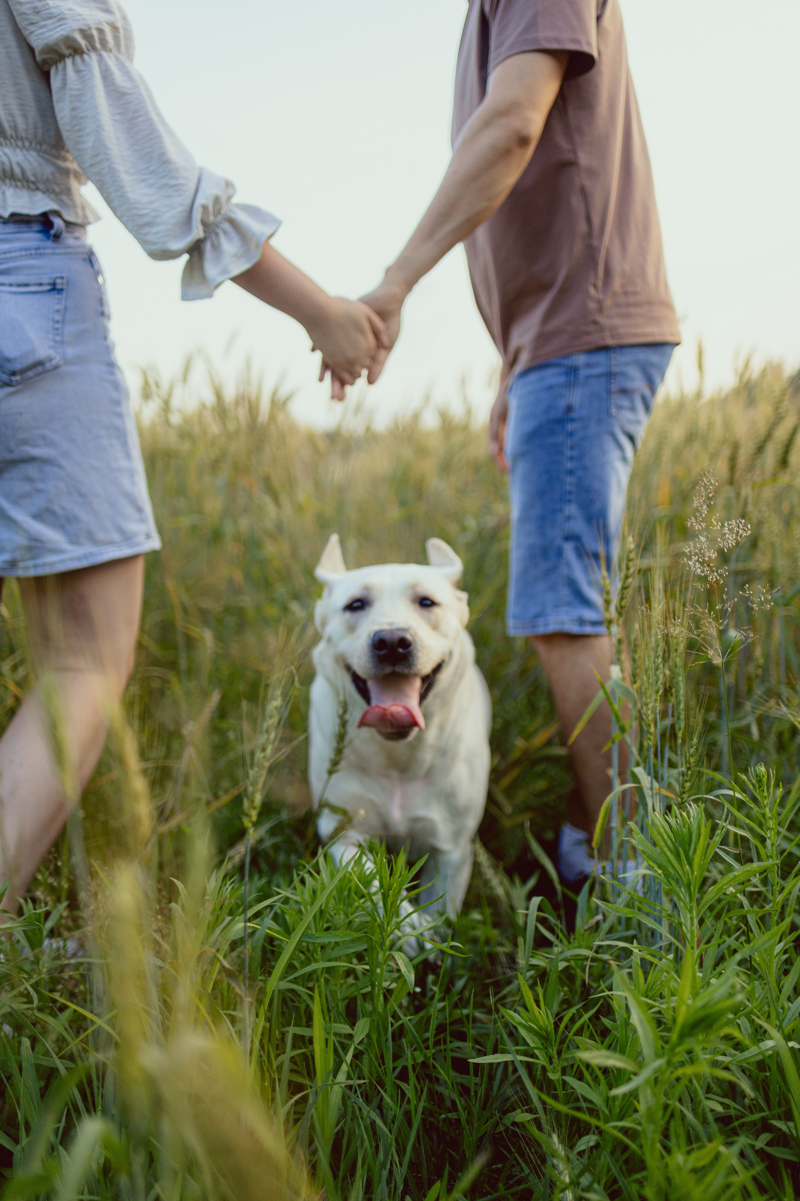 Люба и Иван. Семейный фотограф в Дзержинске Наталья Лаэтина