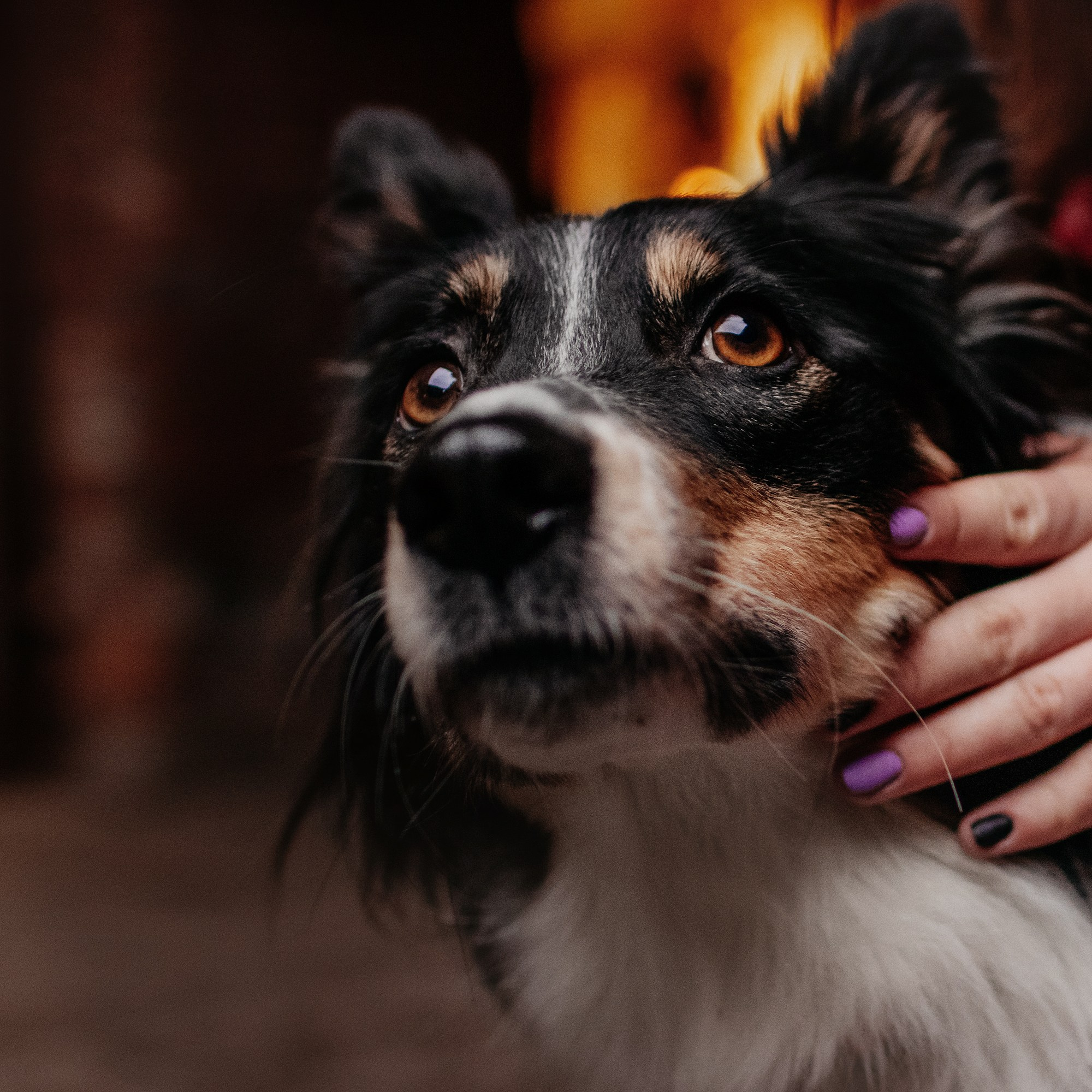 Соня и Юки. Фотограф Наталья Потапова