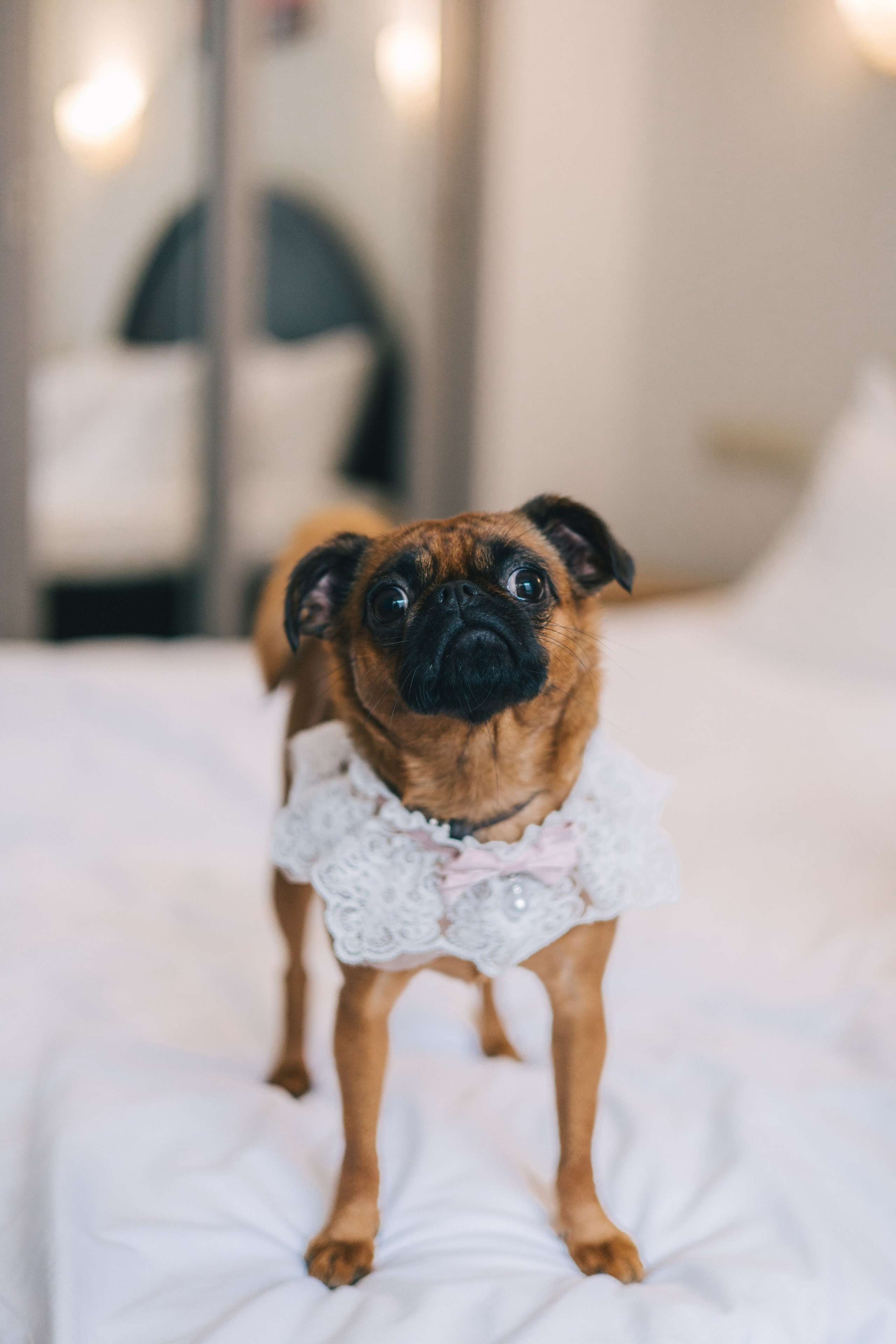 Свадебный фотограф в Москве. Свадебный фотограф в Москве Александра Соболева |Weddings, people, travel, etc