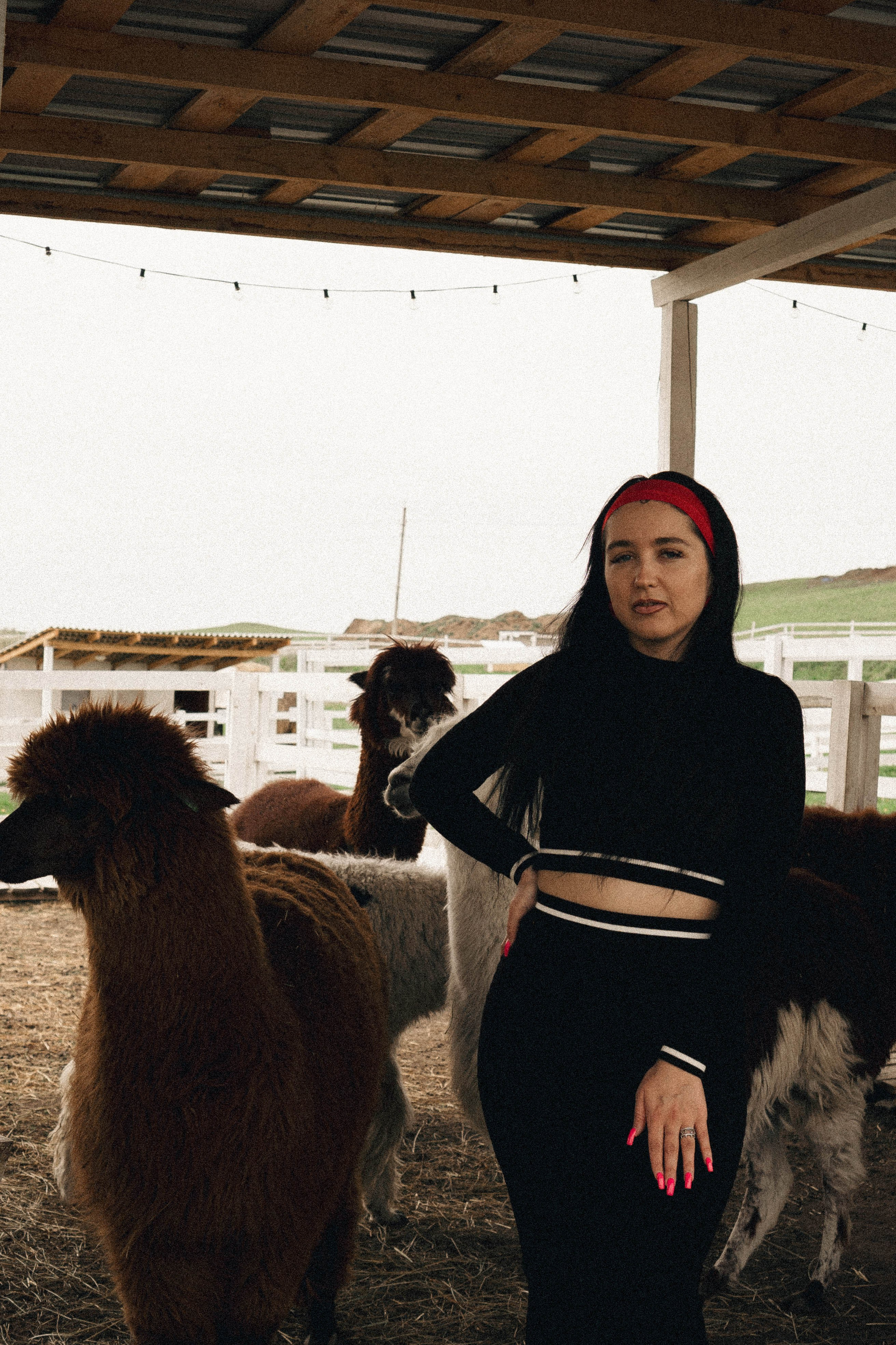 Ферма Альпак. Профессиональный фотограф, Санкт-Петербург — Виктория Богомолова