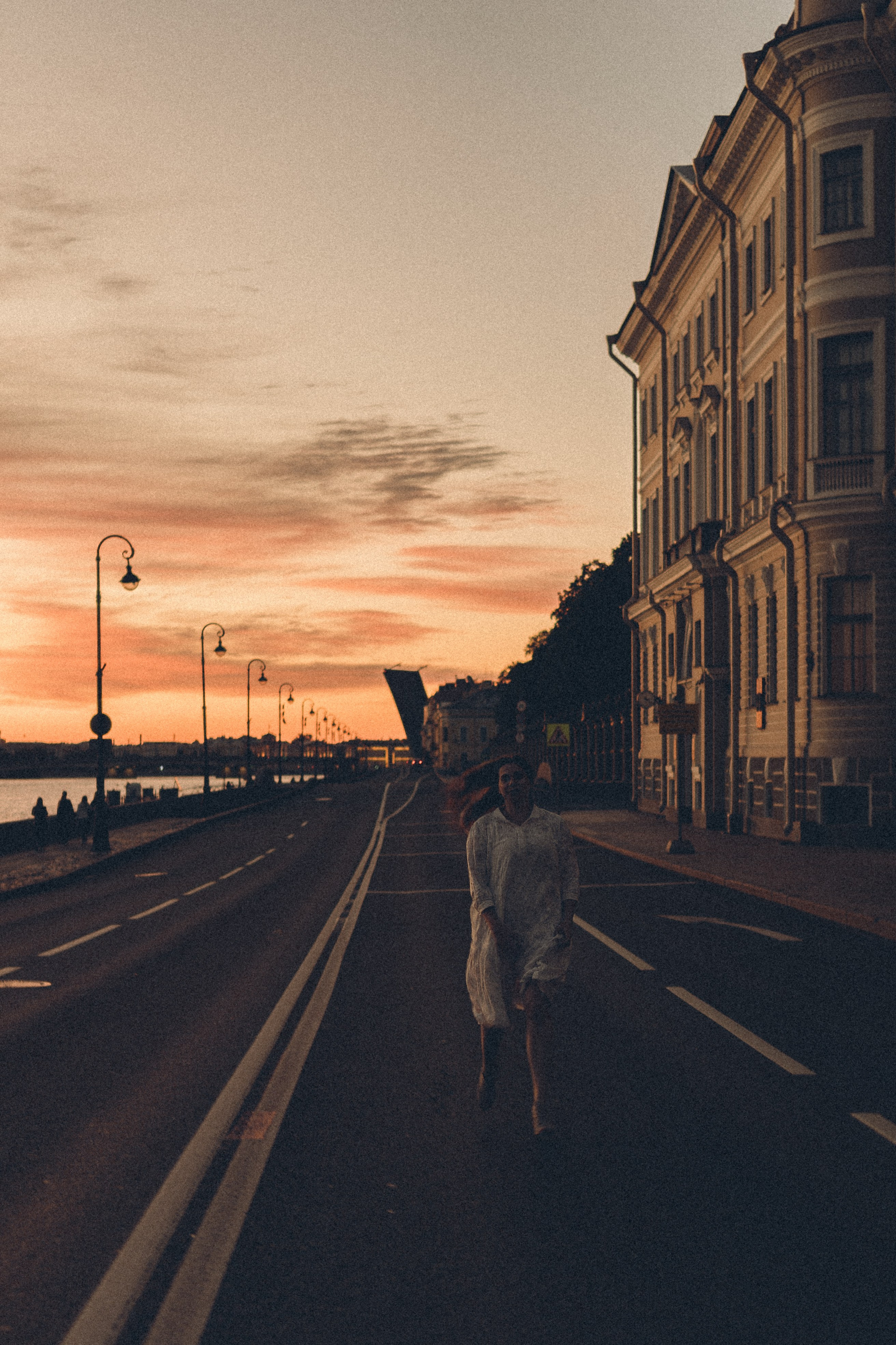 РАССВЕТ С РАЗВОДНЫМИ МОСТАМИ. Профессиональный фотограф, Санкт-Петербург — Виктория Богомолова