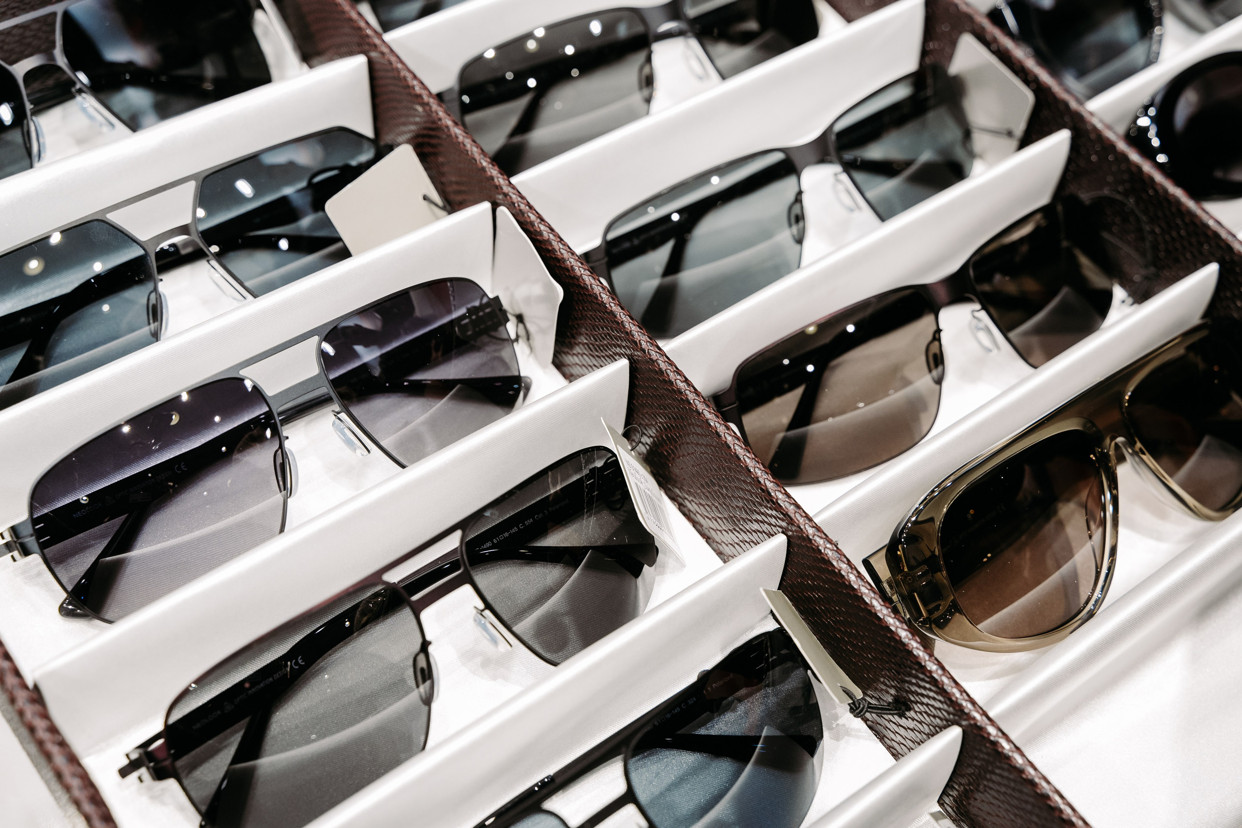 Оптическая_выставка. Репортажный и свадебный фотограф в Москве Рая Небогатова