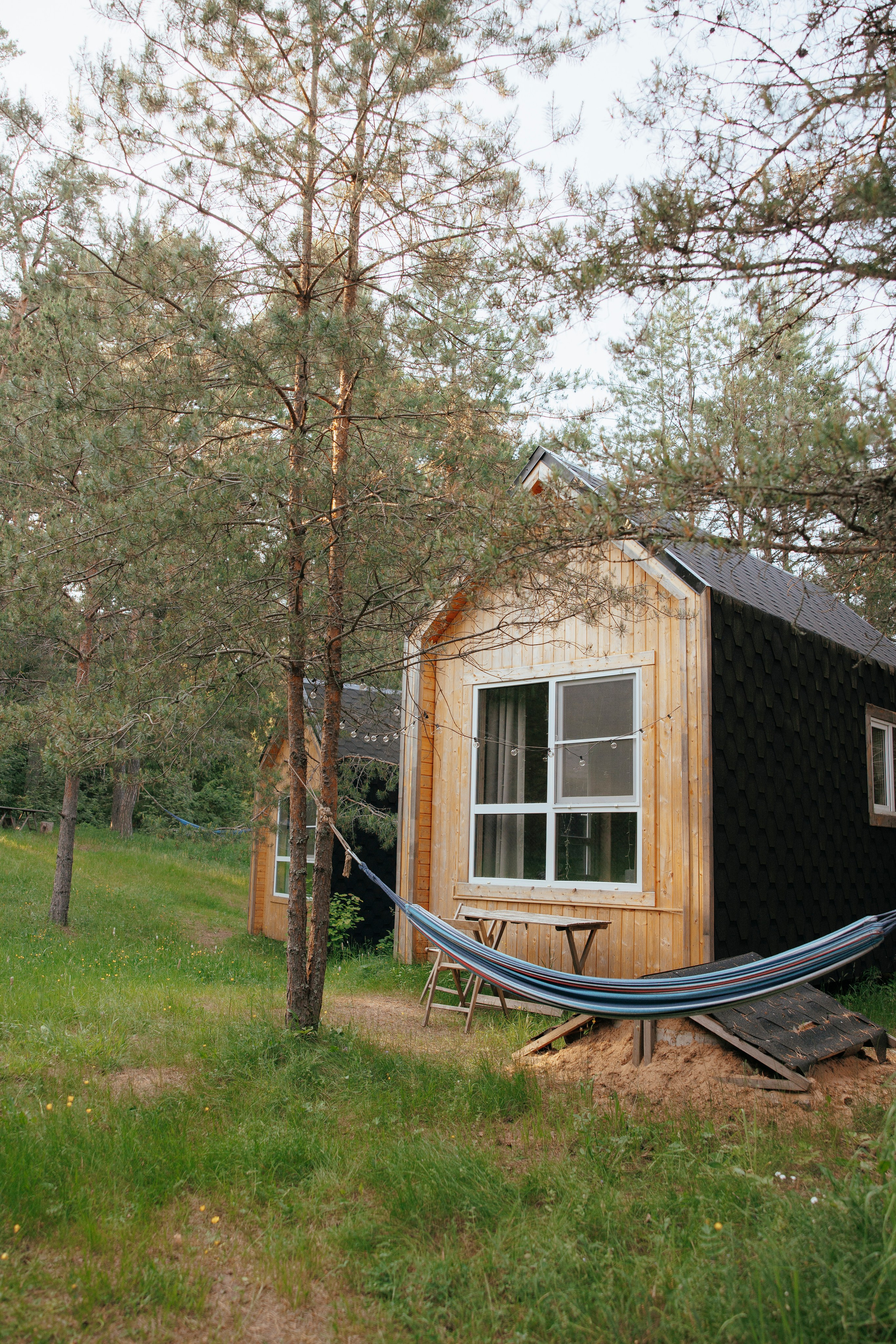 Съемка с собакой. Анастасия Белаш