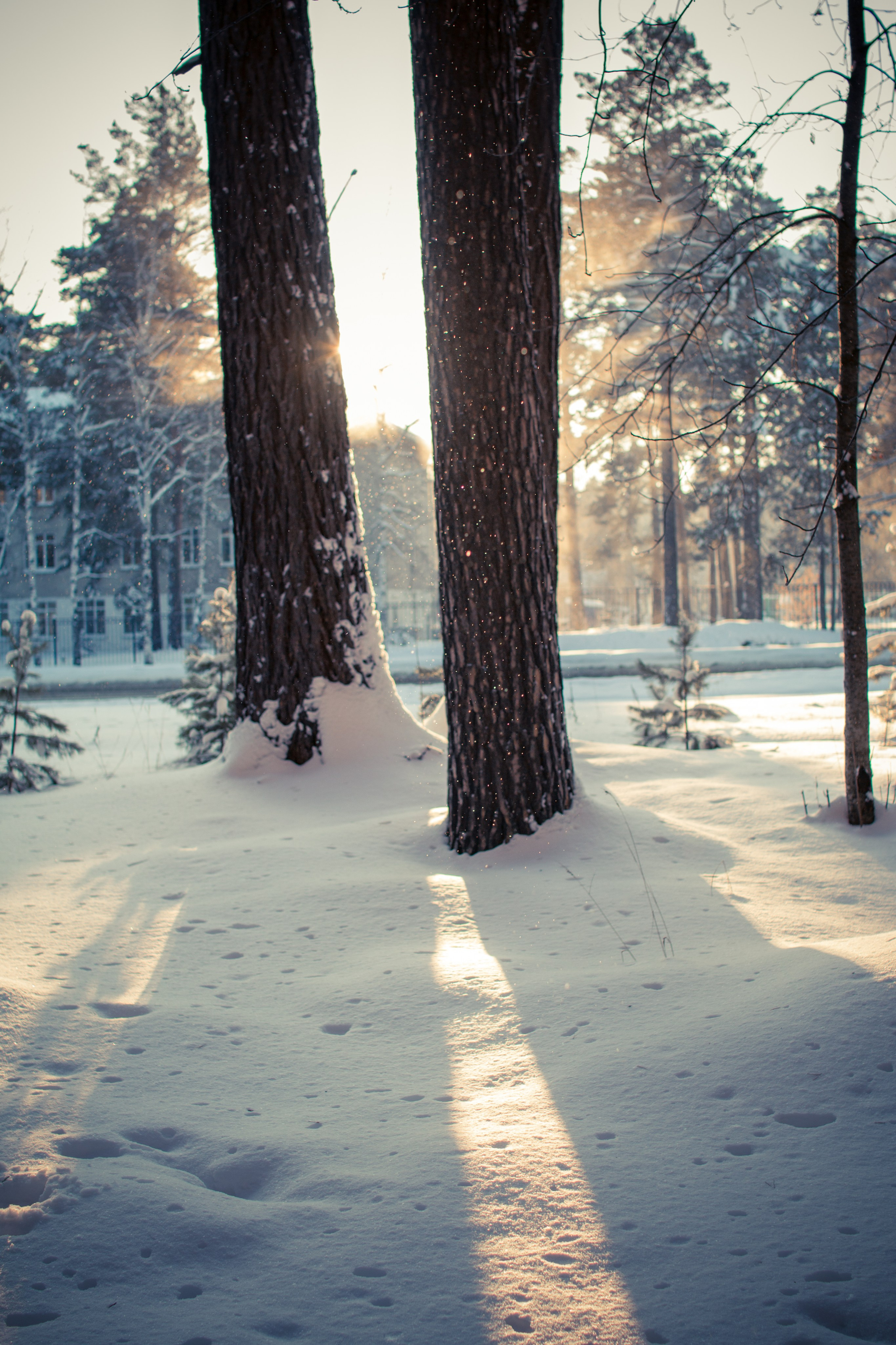 Дети — цветы жизни!. Ваш фотограф Северск | Томск