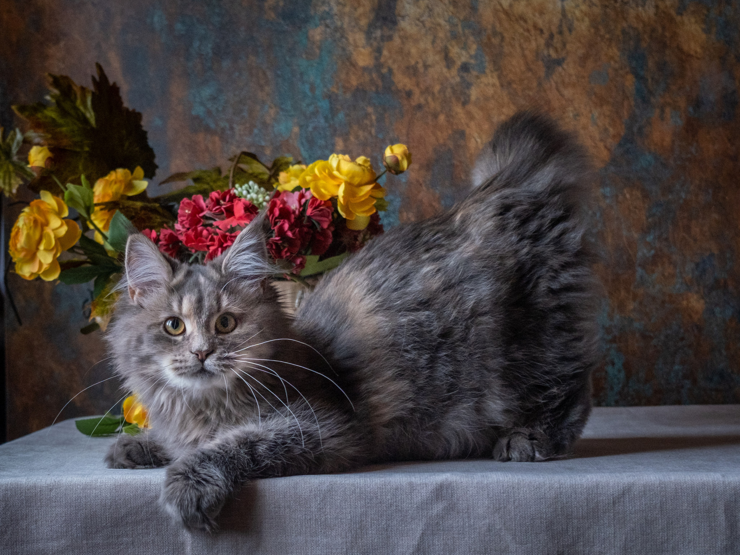 Зоофотограф, фотограф животных в Москве и области Дина Дамоцева