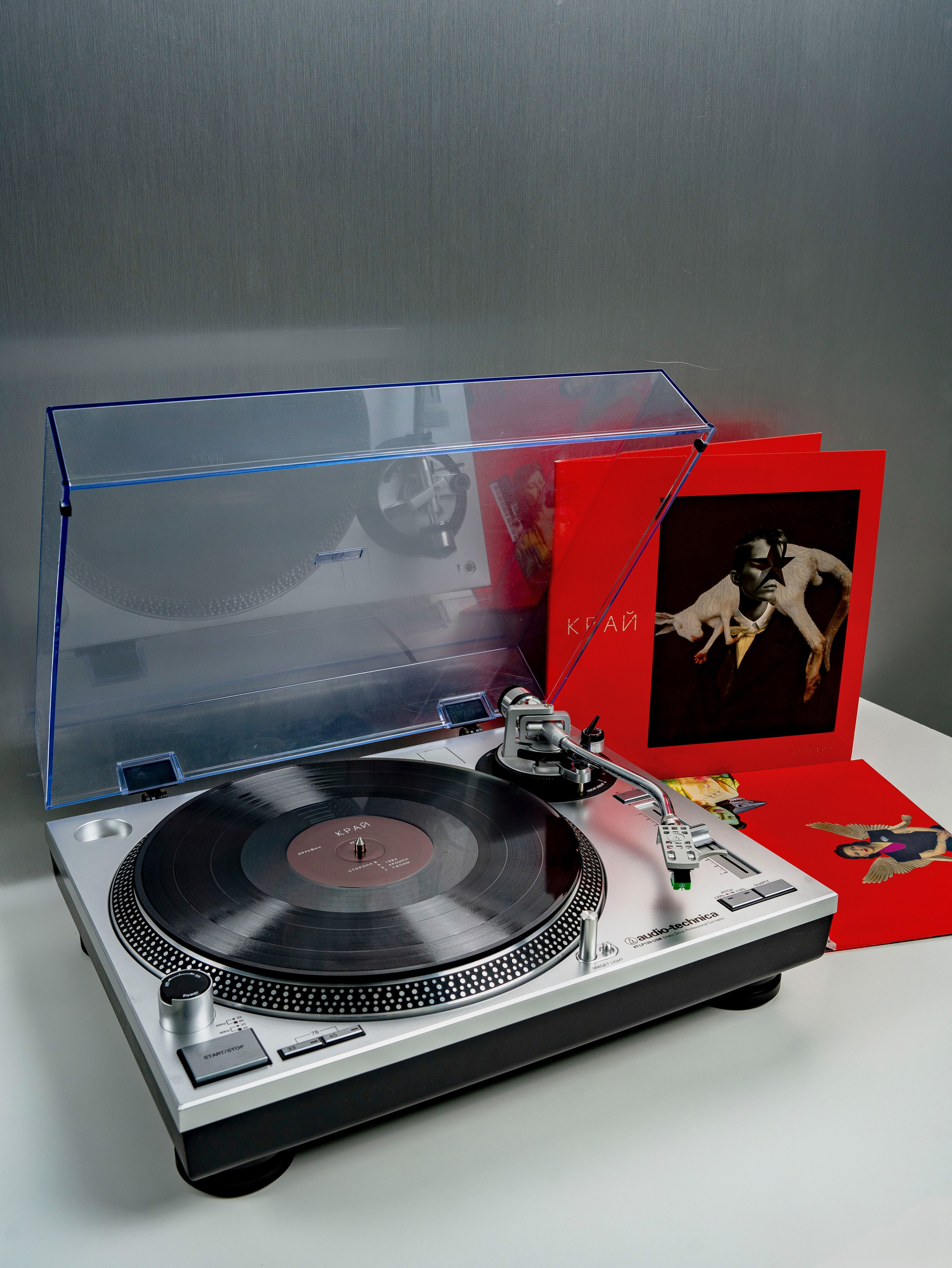 Дельфин. Портретный фотограф Москва Белогорцев Сергей