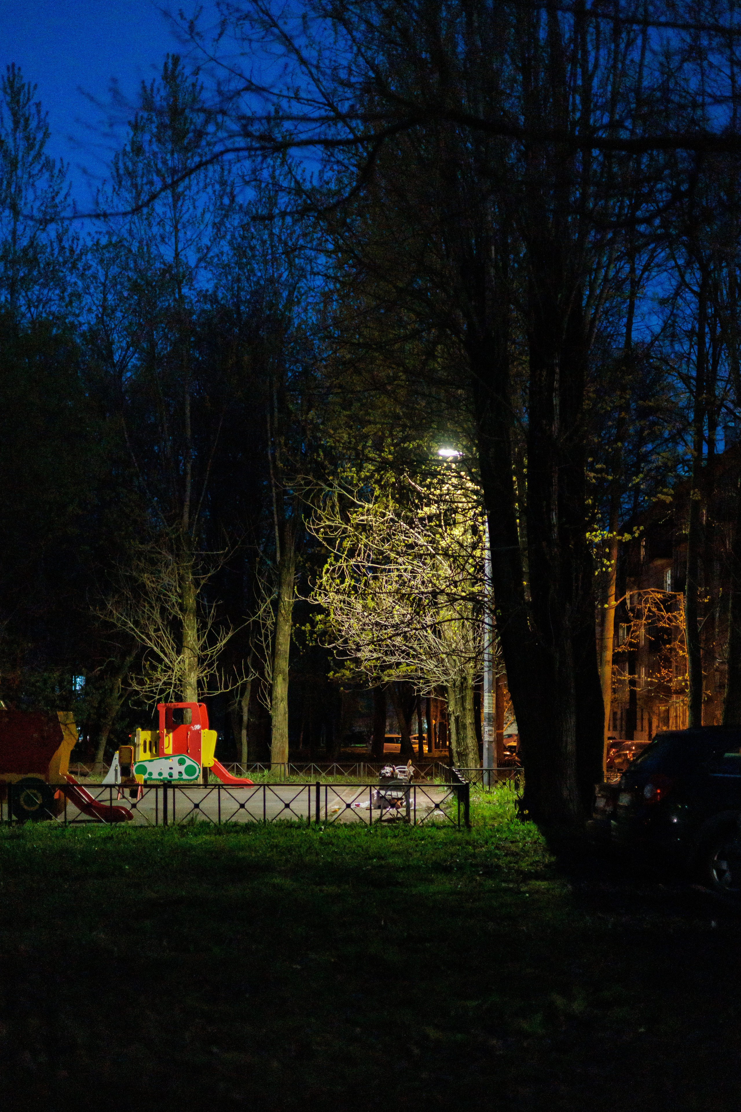 Авторская фотография и эстетика Петербурга | Роман Карбышев. Репортажный фотограф | Снимки за 3 дня | СПБ и ЛО