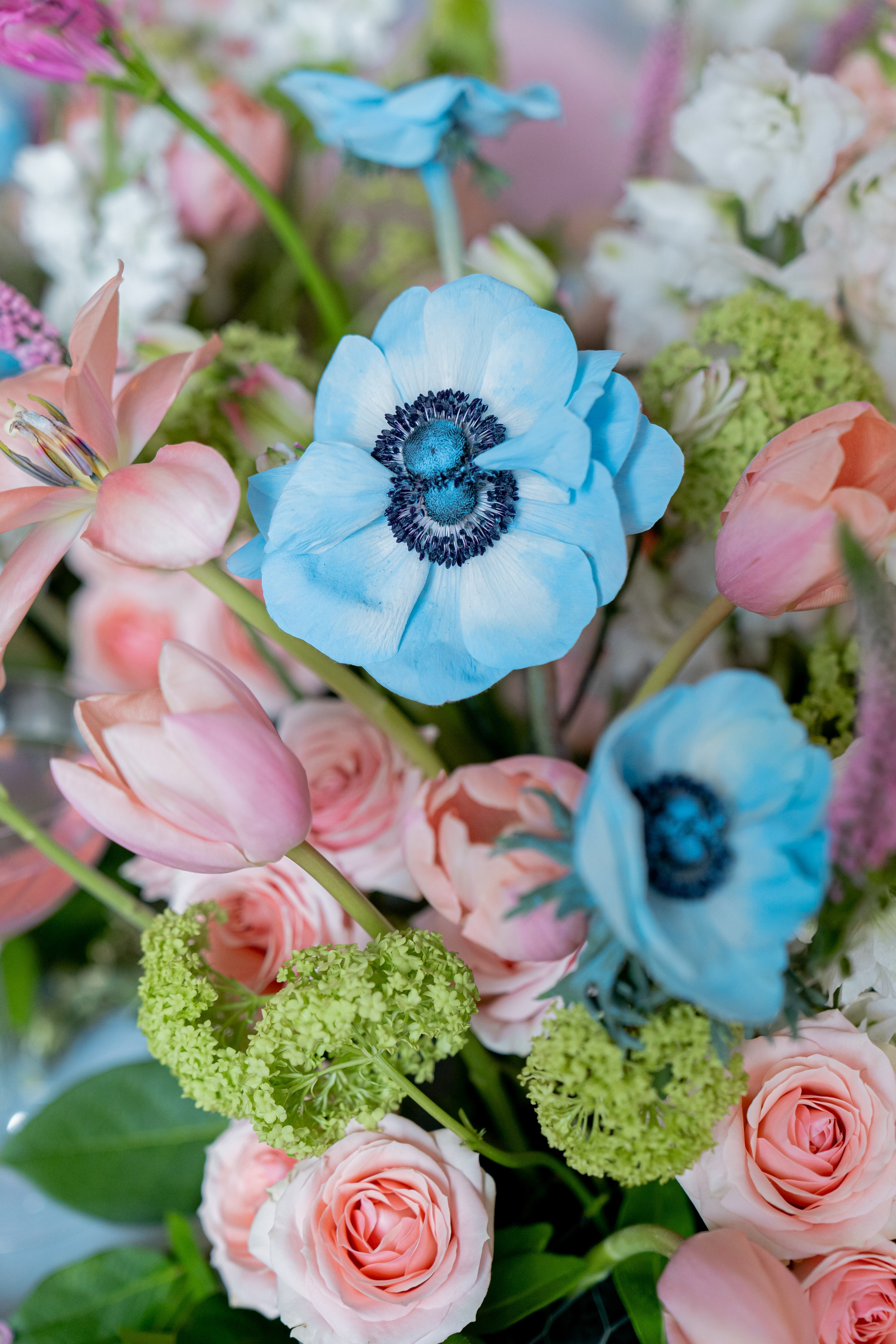 MARIA ANTOINETTE | 21.02.2024 | г. Санкт-Перербург. МашаШарики | Декоратор | Москва