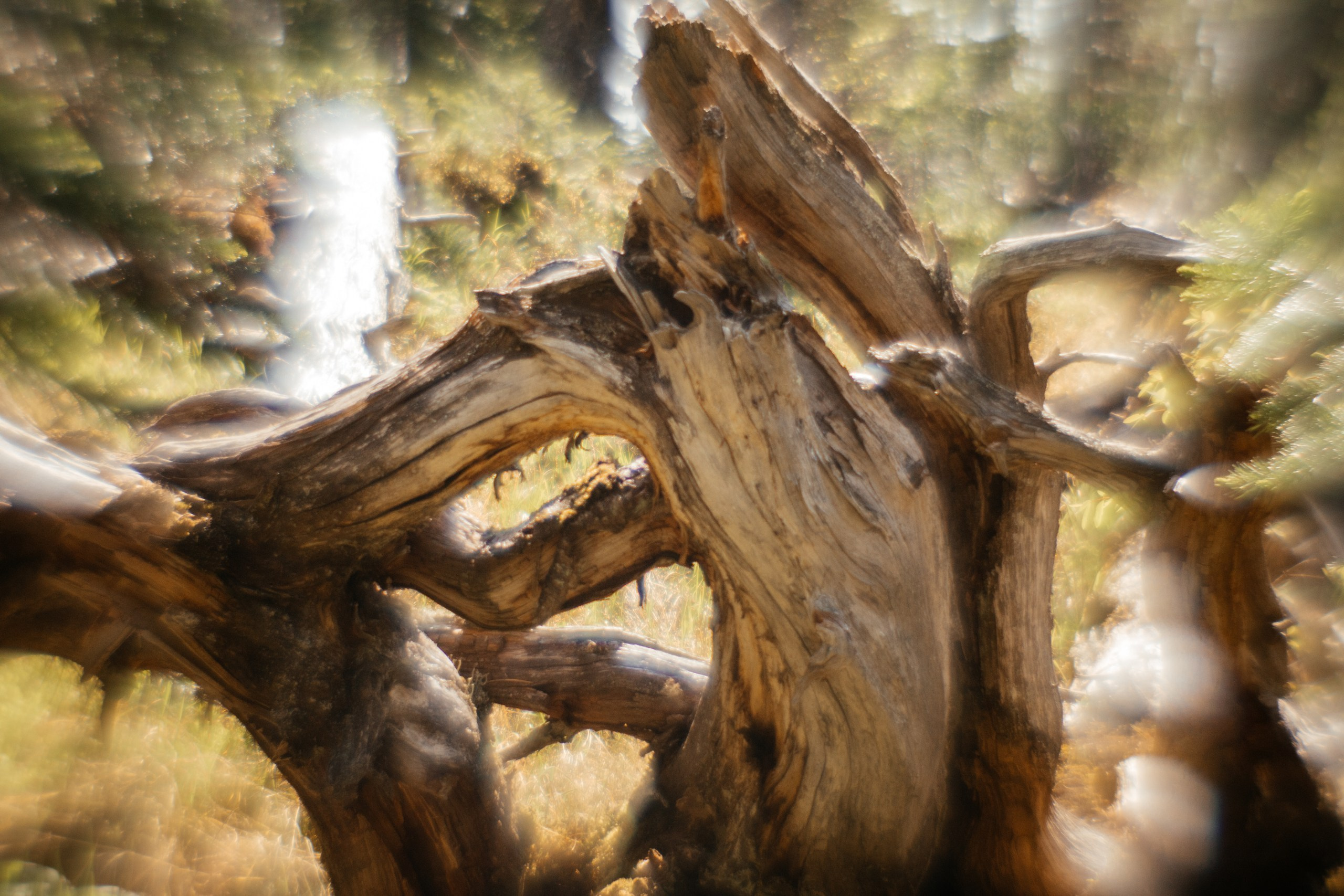 Ловец снов. Фотограф в Красноярске Оксана Корчагина