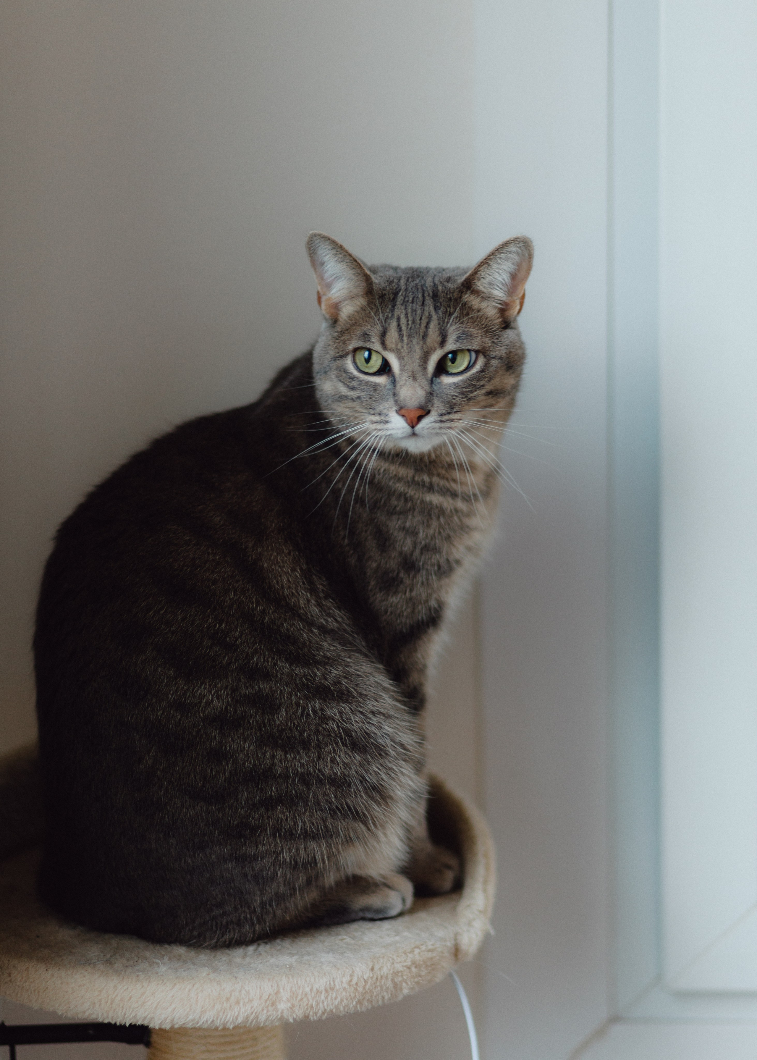 Pumpkin Workshop. Barbara Isaeva