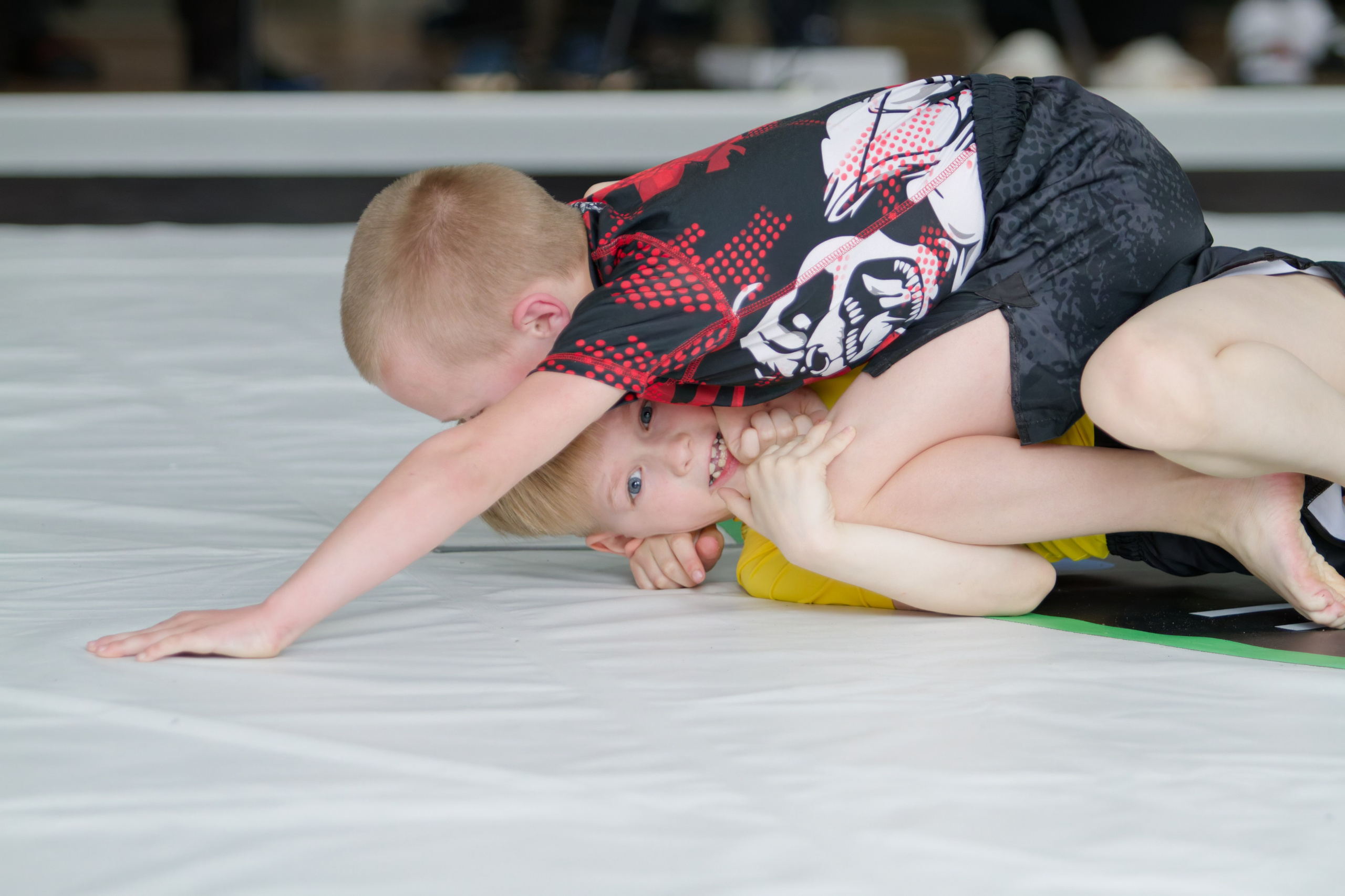 Борьба. Джиу-джитсу 26.04.2025. Репортажный и спортивный фотограф в г. Пермь Зильберг Павел