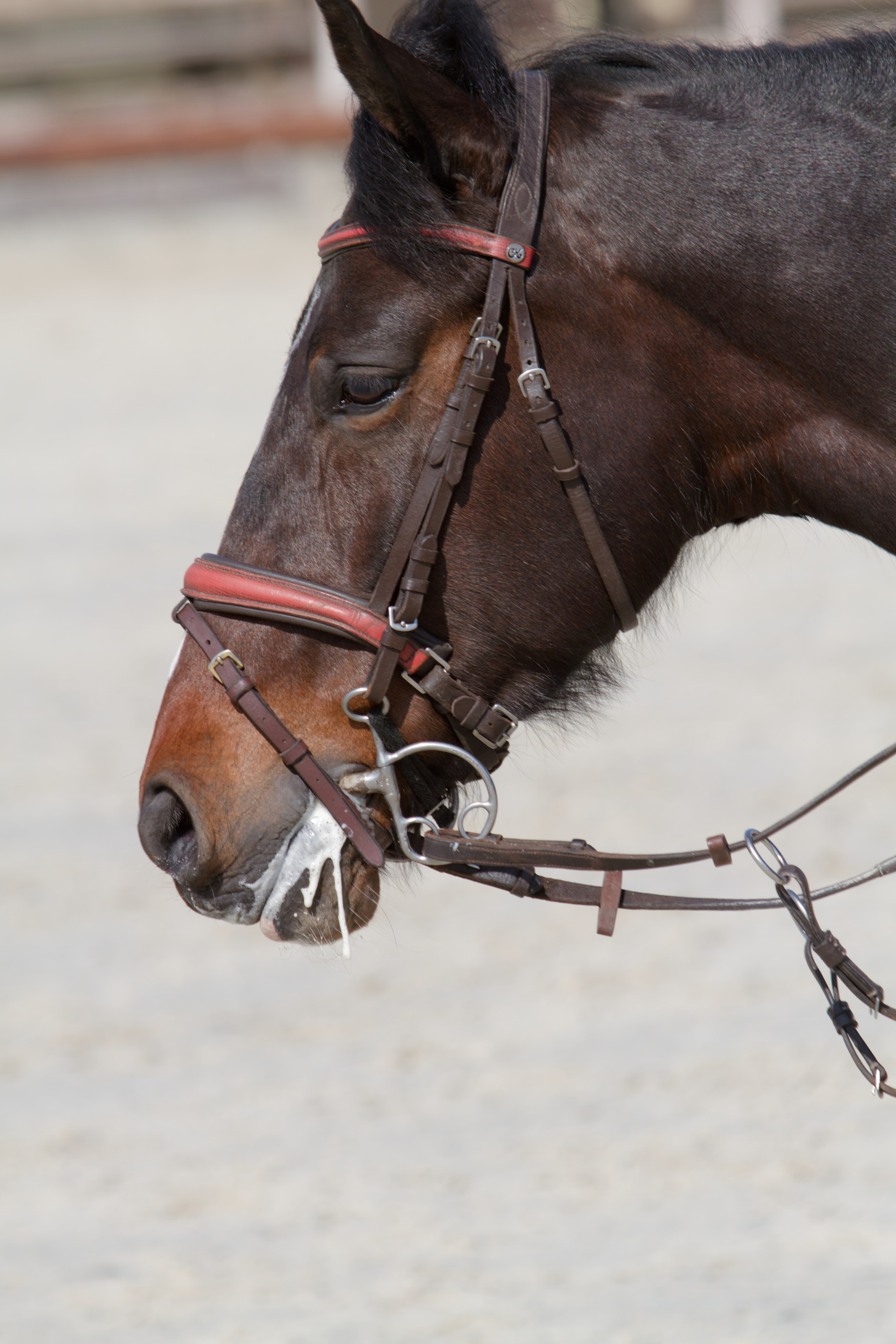 Родео59. Репортажный и спортивный фотограф в г. Пермь Зильберг Павел