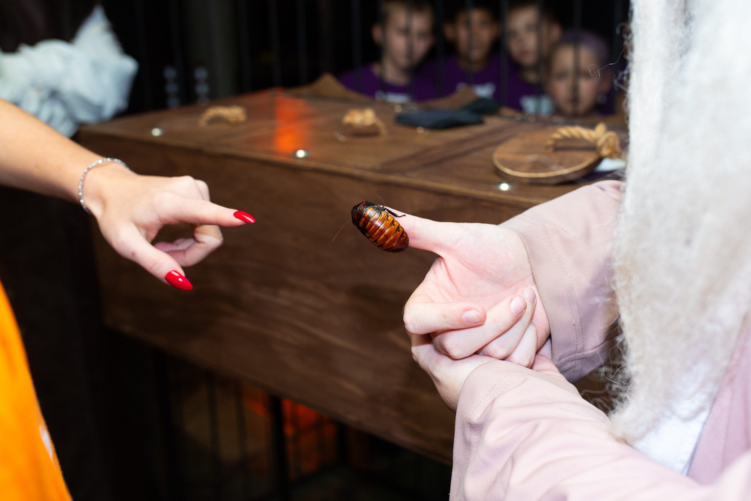 Форт Боярд. Фотограф в Новосибирске Ася Зверева