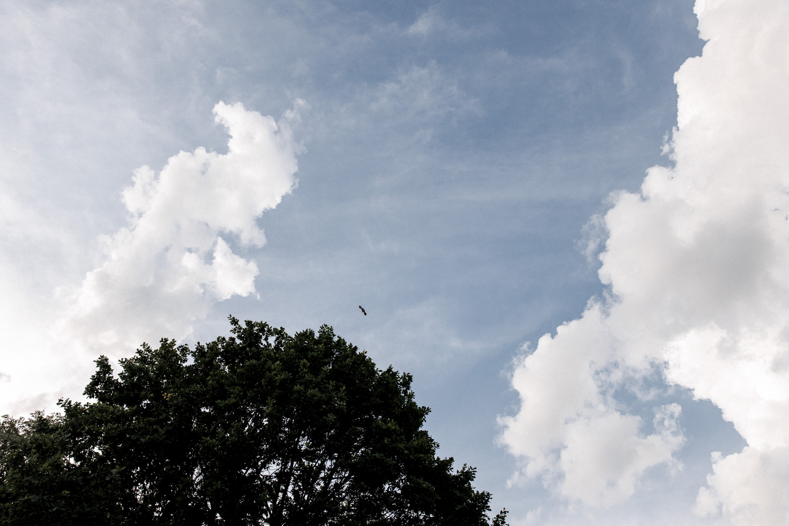 День Рождения Амели. Свадебный и семейный фотограф в Москве Julia Juice