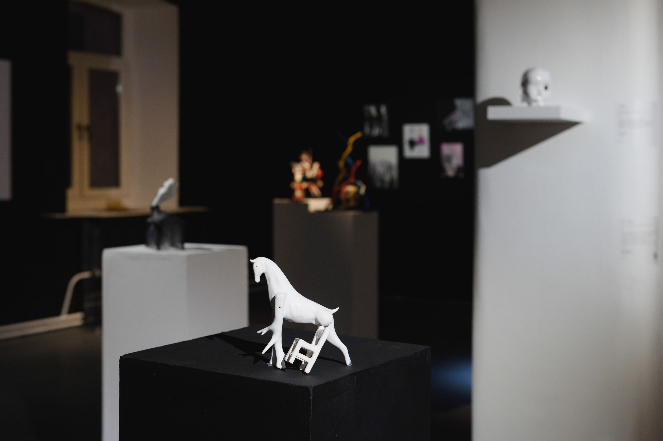 Выставки. Фотограф Руслан Хафизов