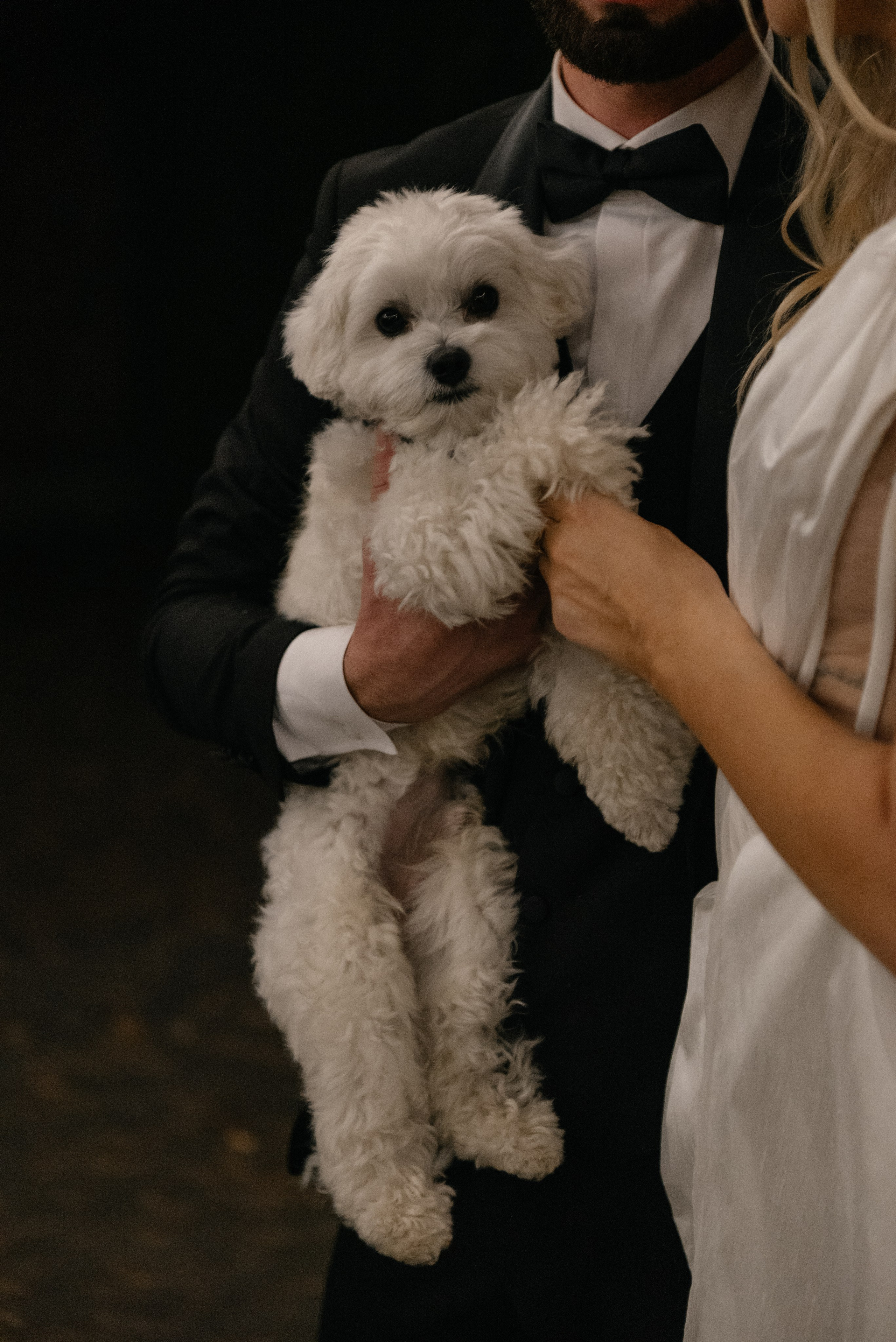 Nina and Alexander. Главная