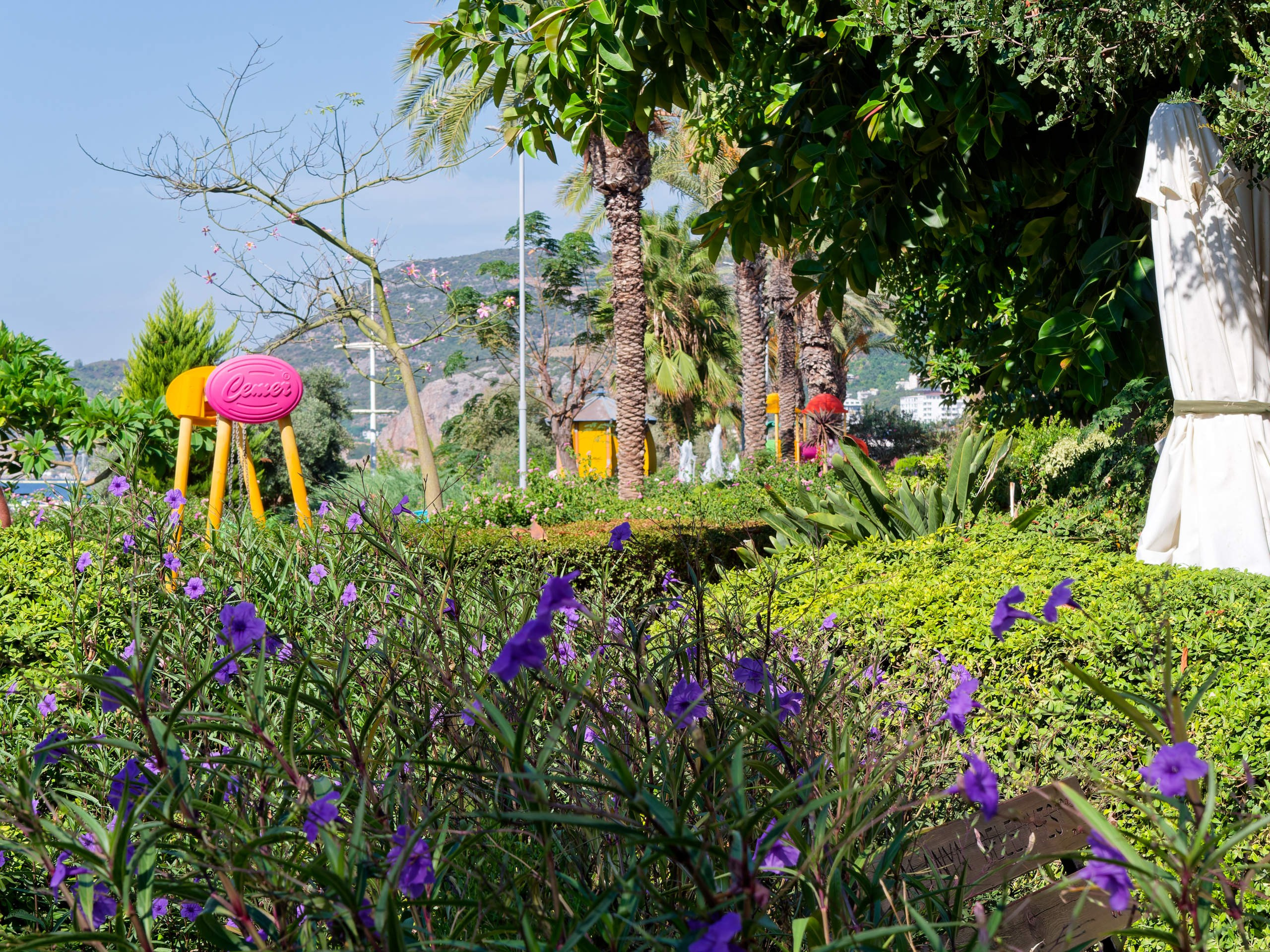 Алания 2025, город, стрит-фото. Избранные фотографии