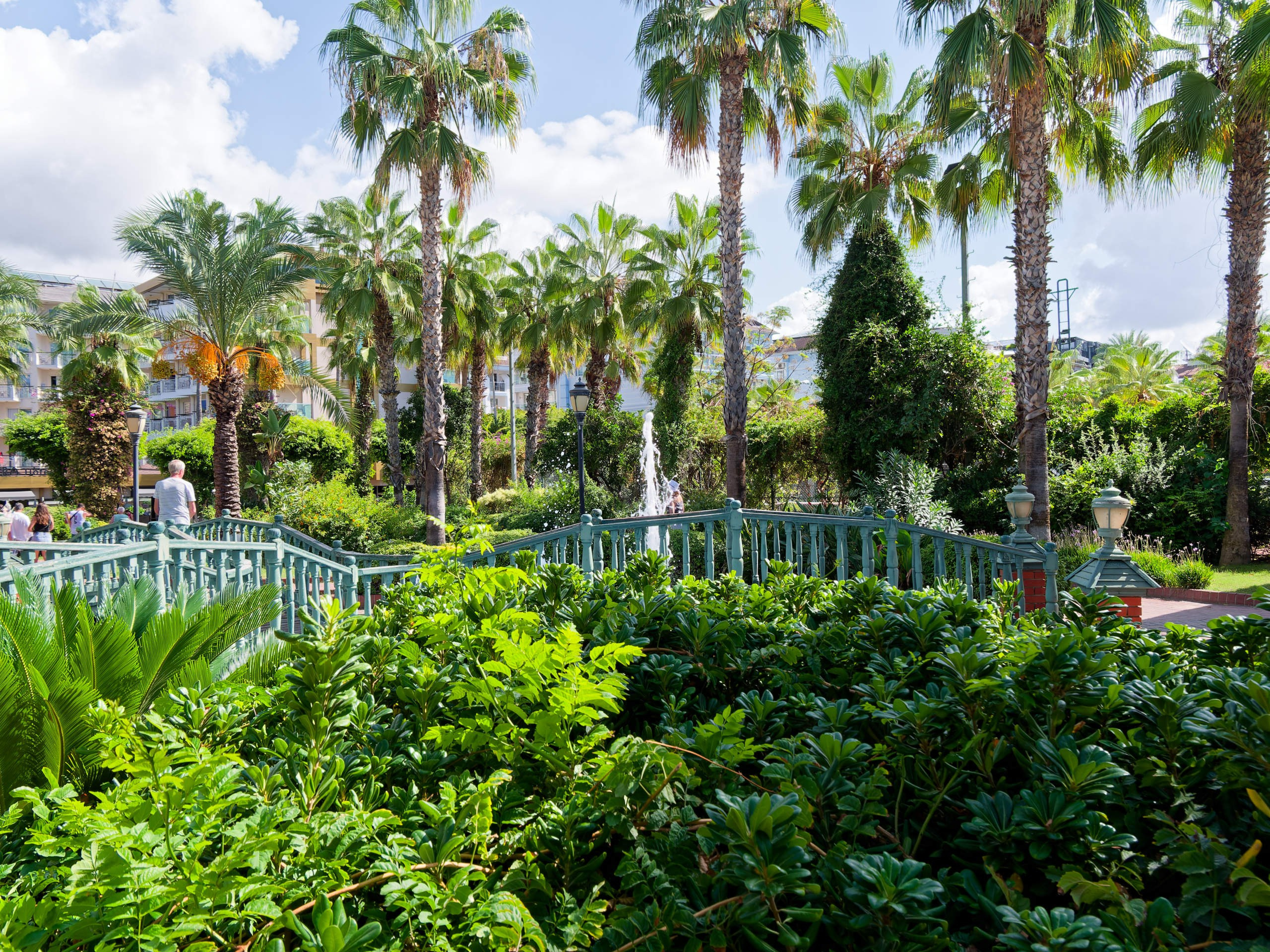 Алания 2025, город, стрит-фото. Избранные фотографии