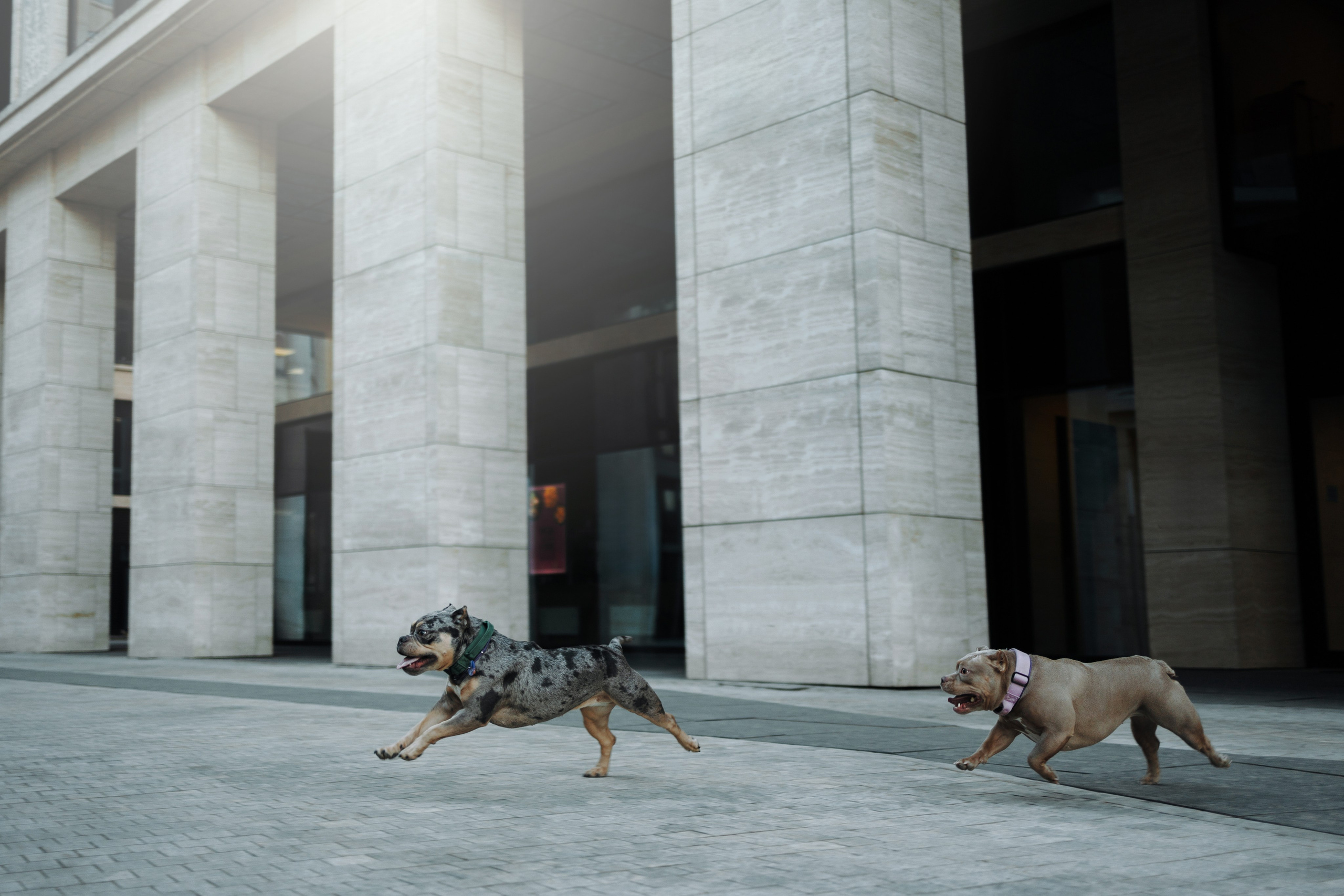 Лера и ее булочки. Фотограф — Анималист | Санкт-Петербург