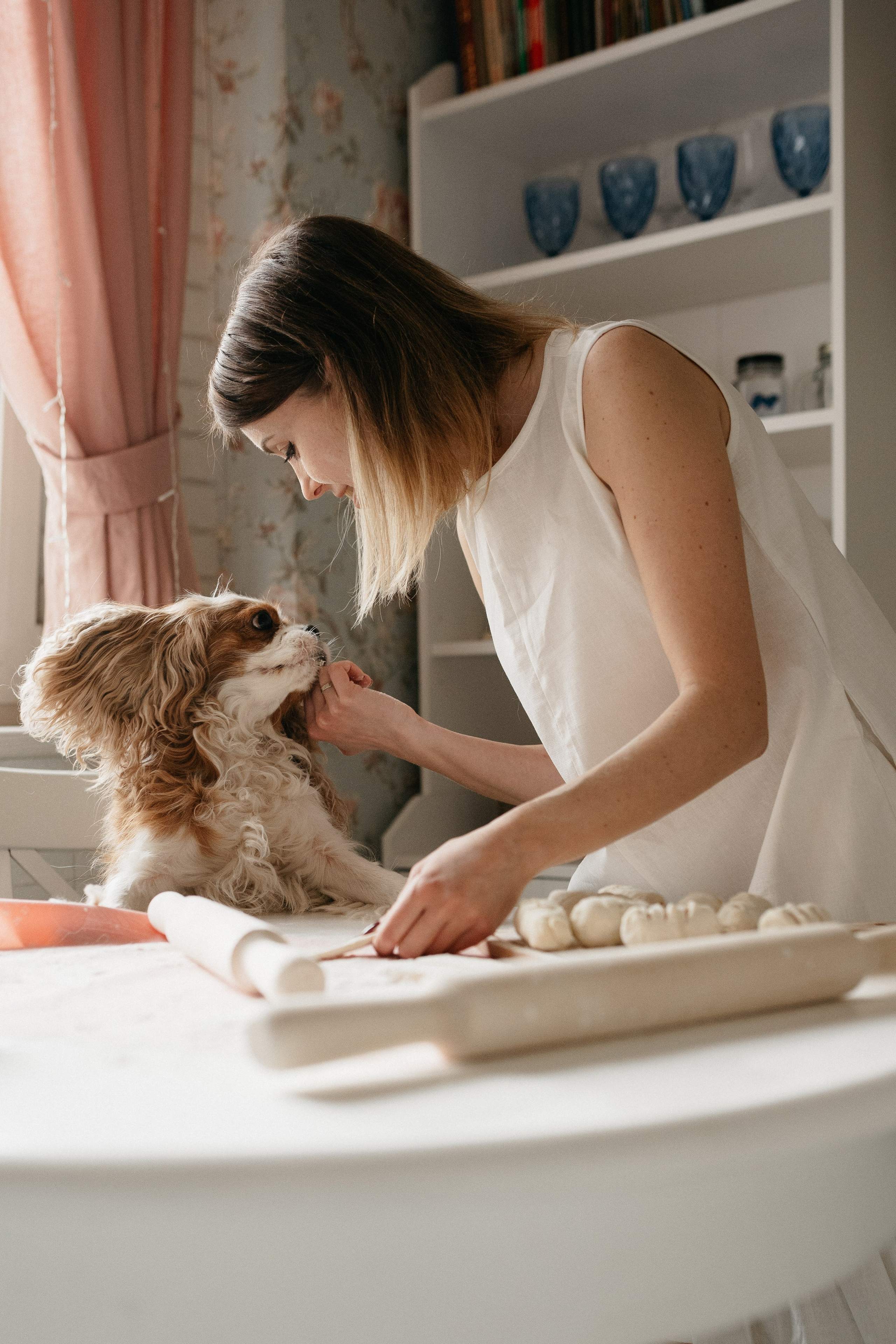 Даша, Диана, Дебби и маленькая крыска. Фотограф анималист в Москве Ольга Агушева