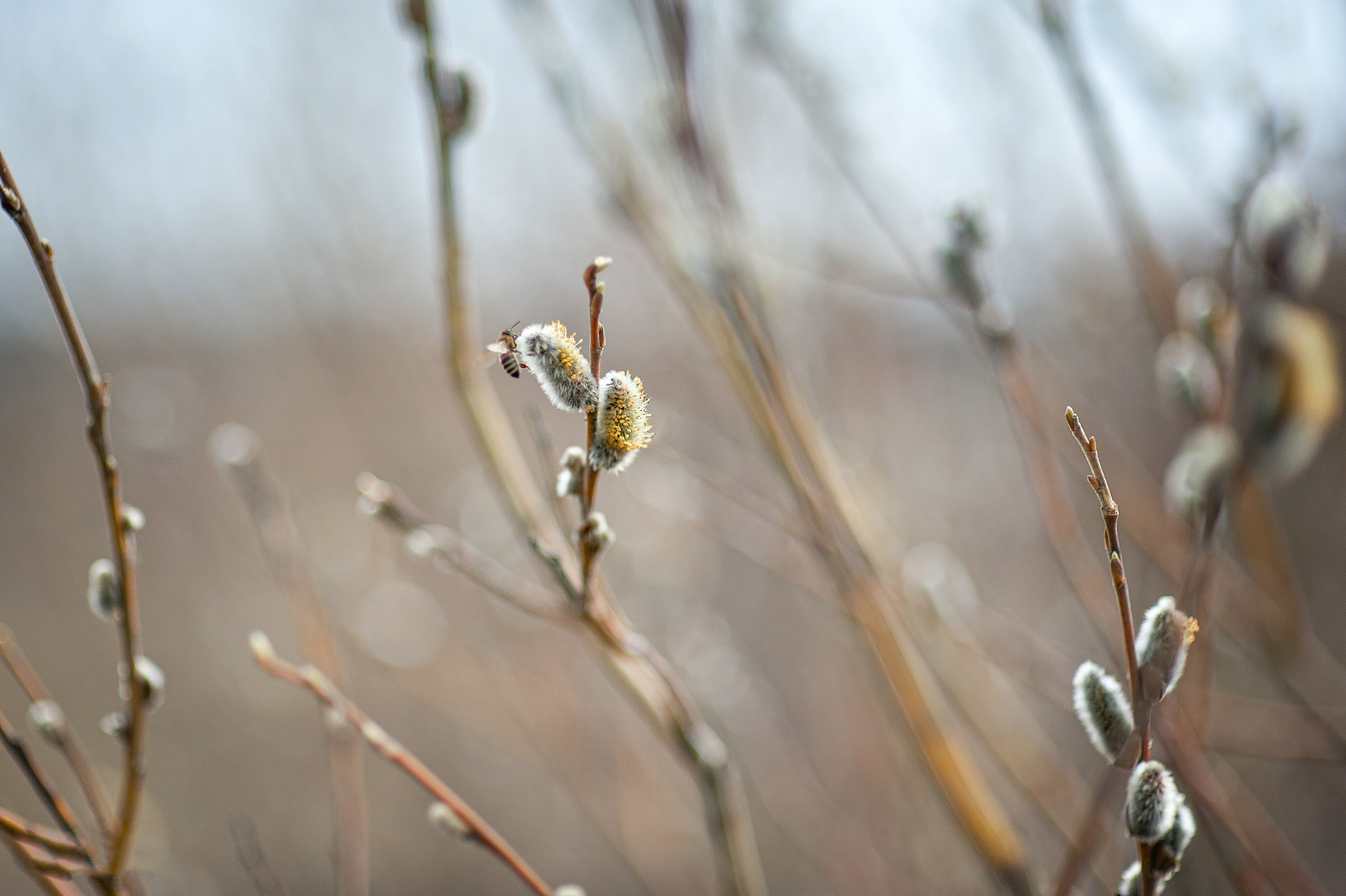 Пейзажный альбом 1. Борис Руненко. Пейзажный и travel-фотограф