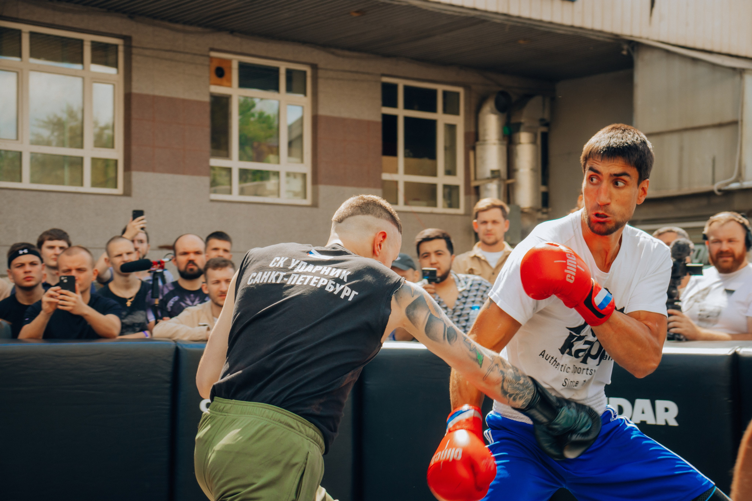 Открытый ринг. Анастасия Тен