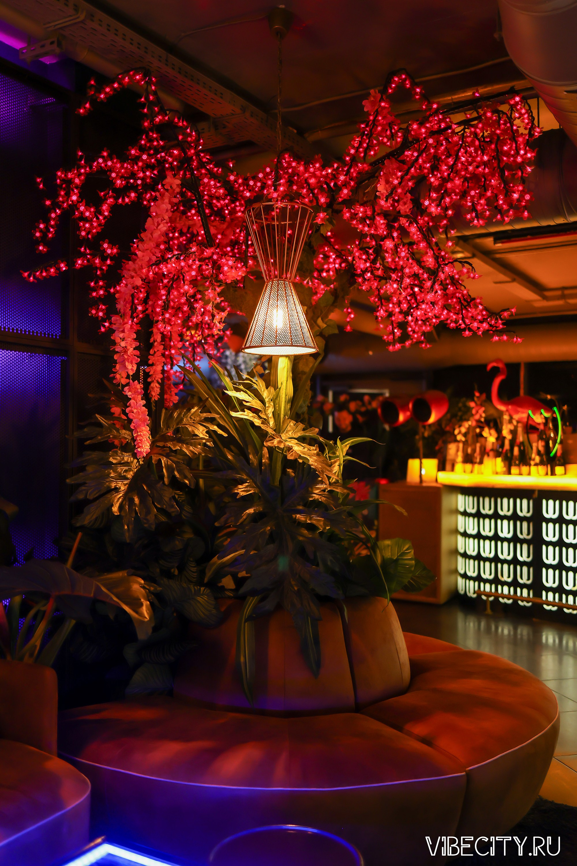 DOUBLE U. VIBECITY.RU Вайб Сити Ру Фоторепортажи Фотоотчеты Калининград