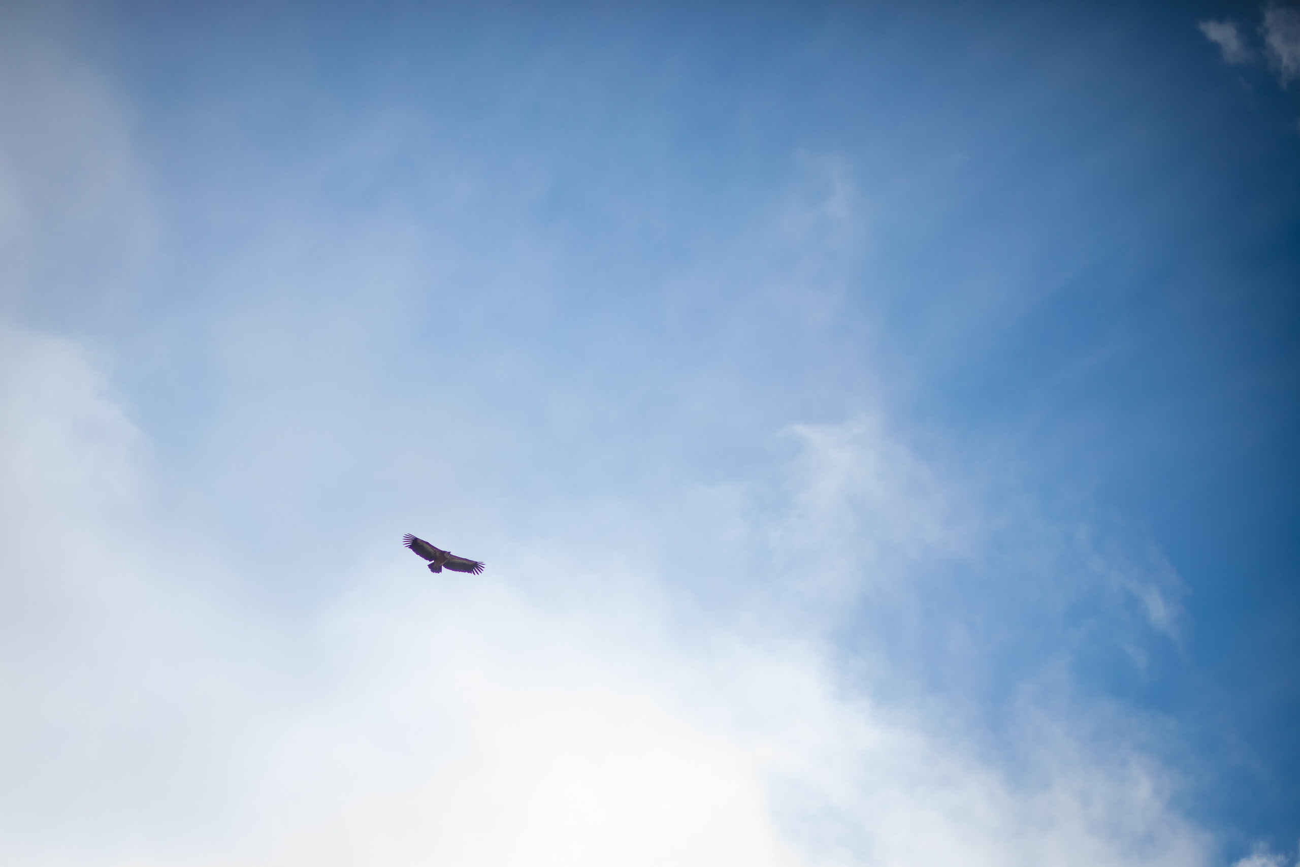 Дагестан. Семейный фотограф в Москве Анастасия Гурьянова