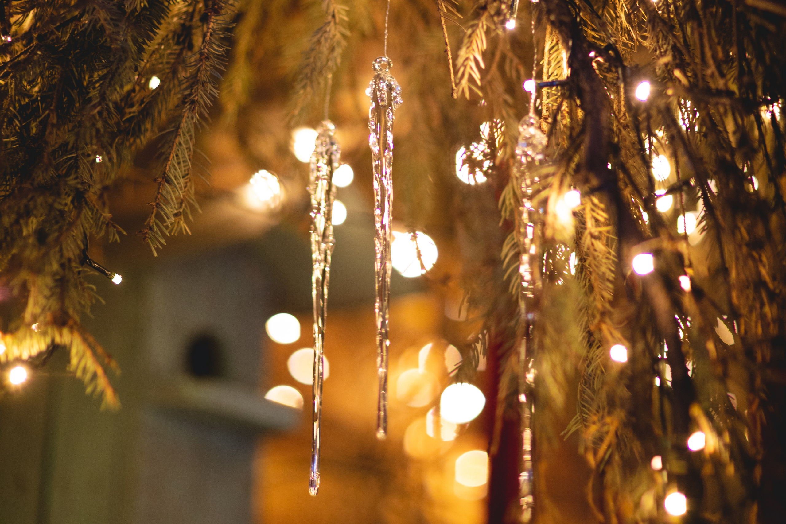 Домик в лесу. Семейный фотограф в Москве Анастасия Гурьянова