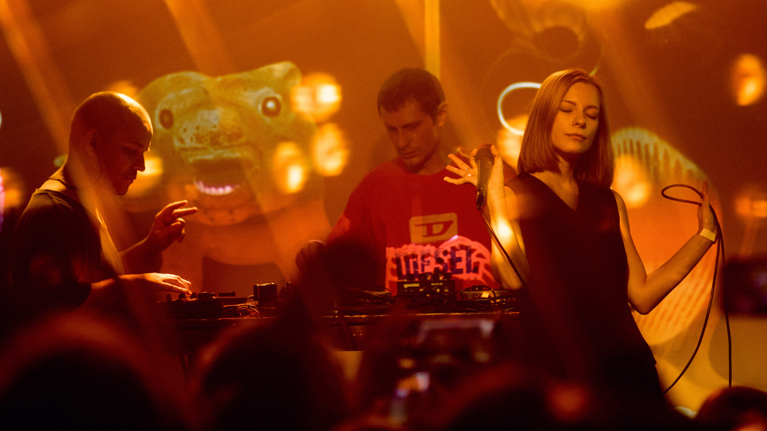 Порез на собаке. Фотограф Юлия Маринина