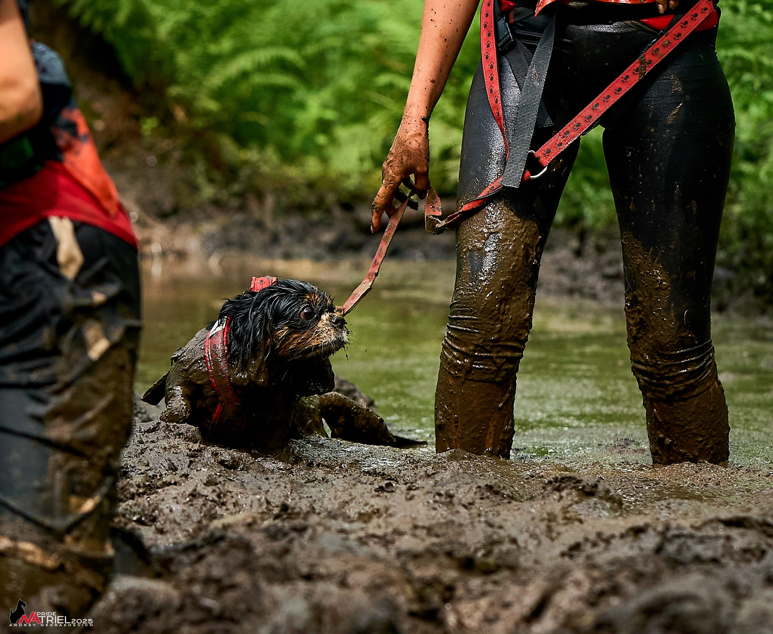 Russian Extreme Dog Trail — 2025