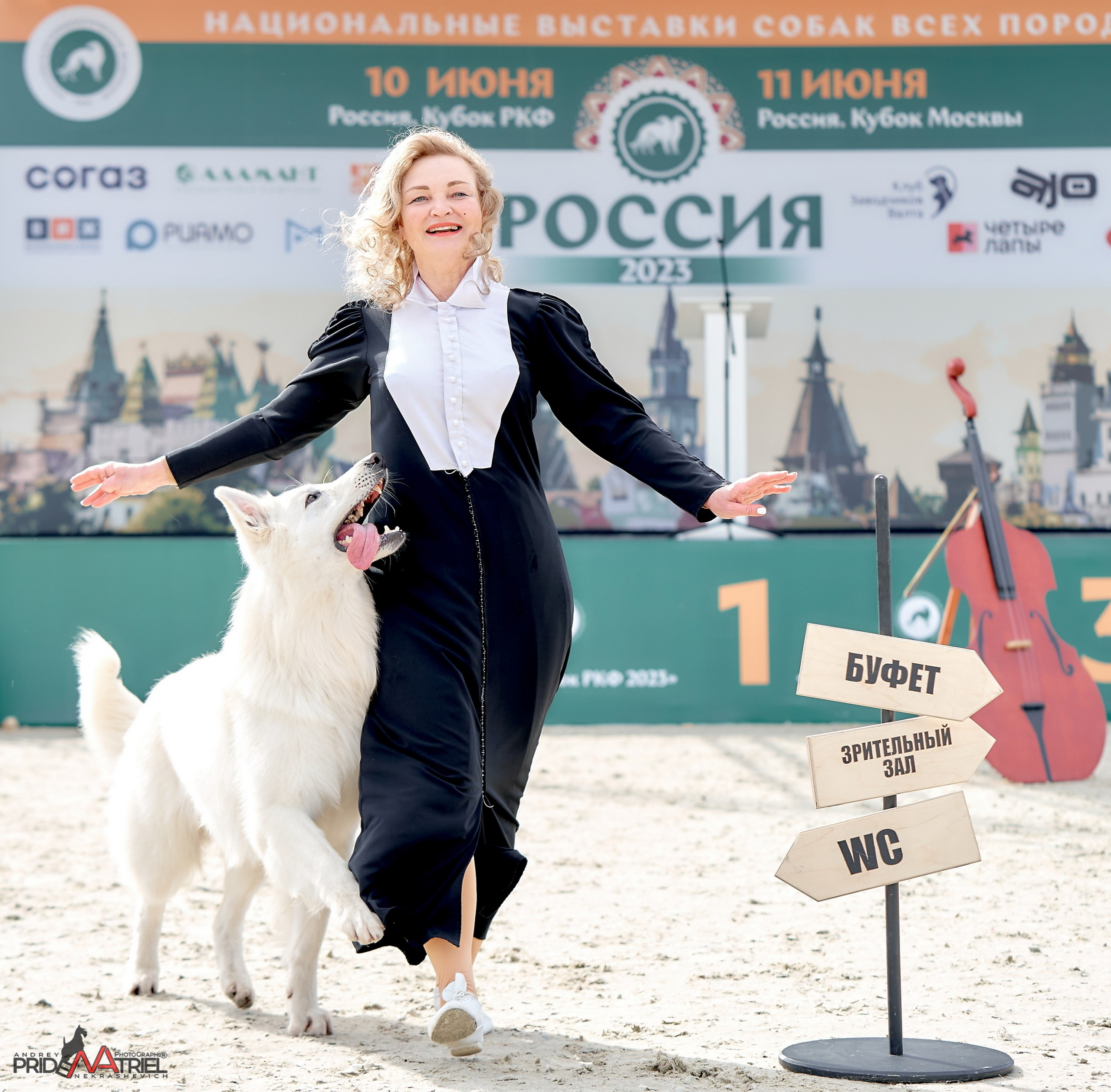 Обидиенс и танцы с собаками — галерея NATRIEL