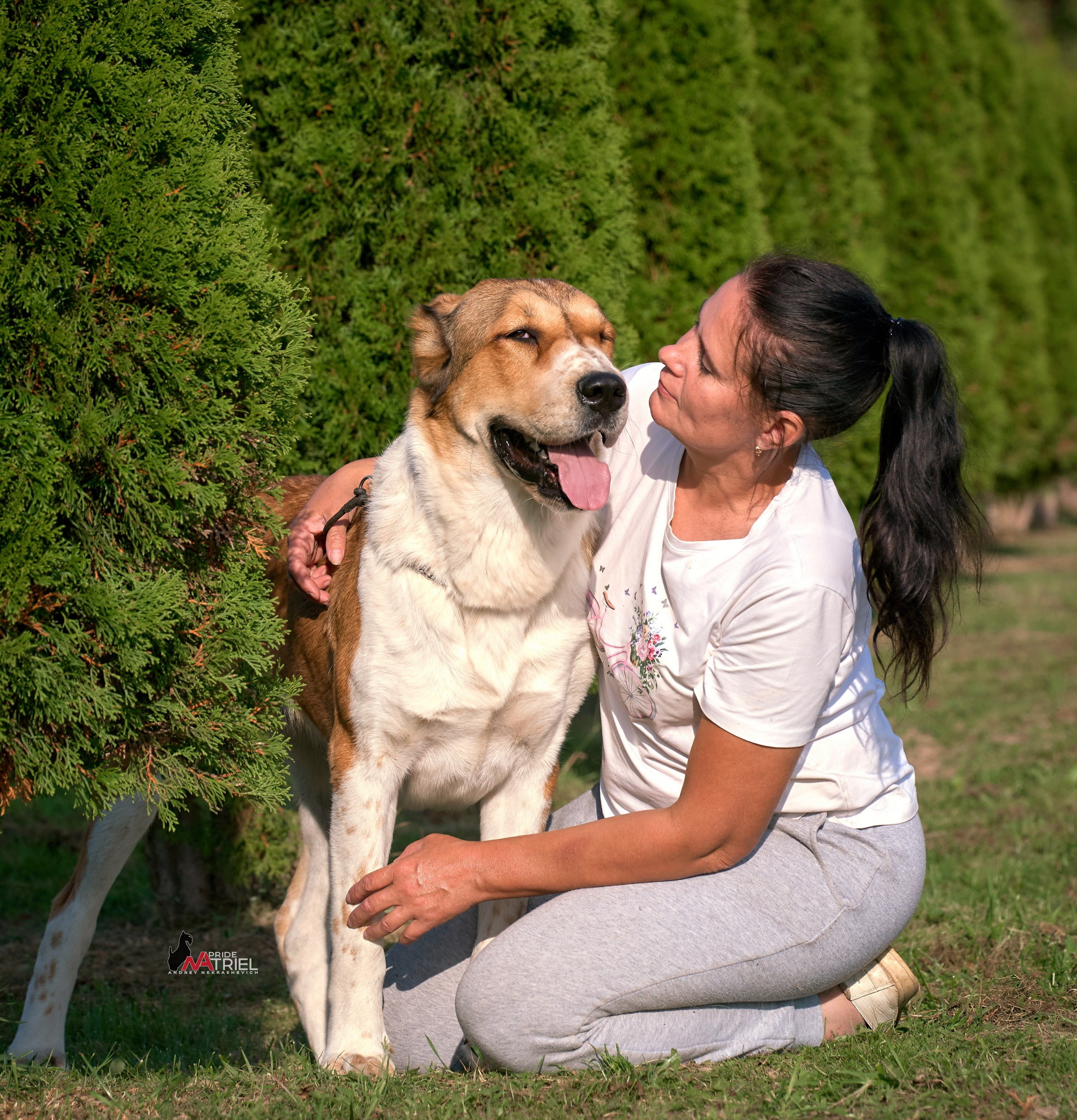 Собаки и Люди — галерея NATRIEL