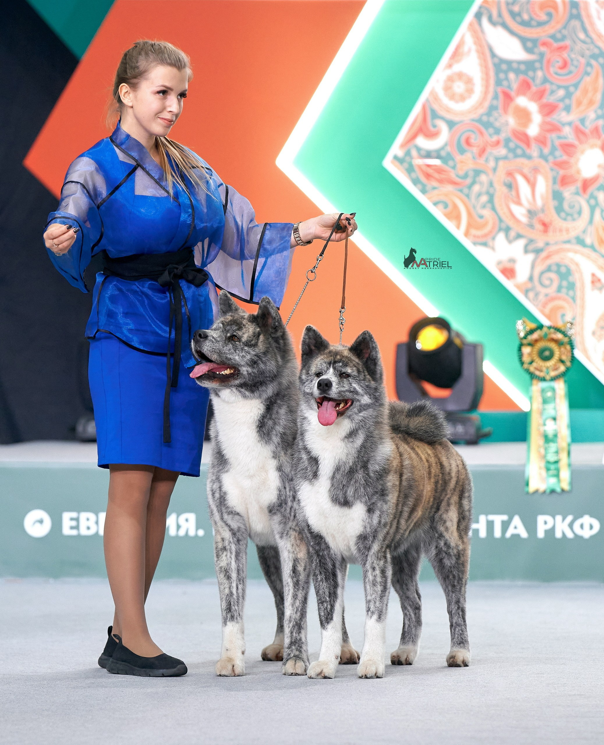 Работа в рингах — галерея NATRIEL