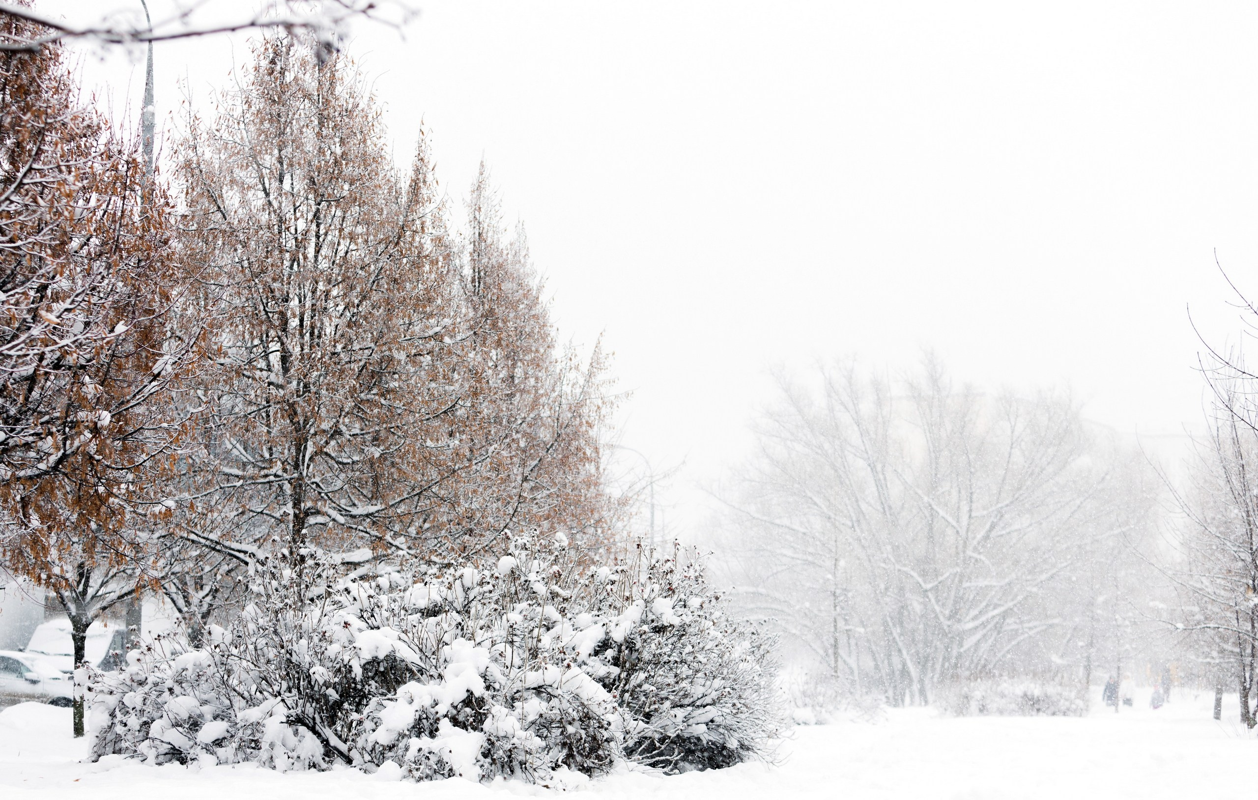 Пейзаж — галерея NATRIEL