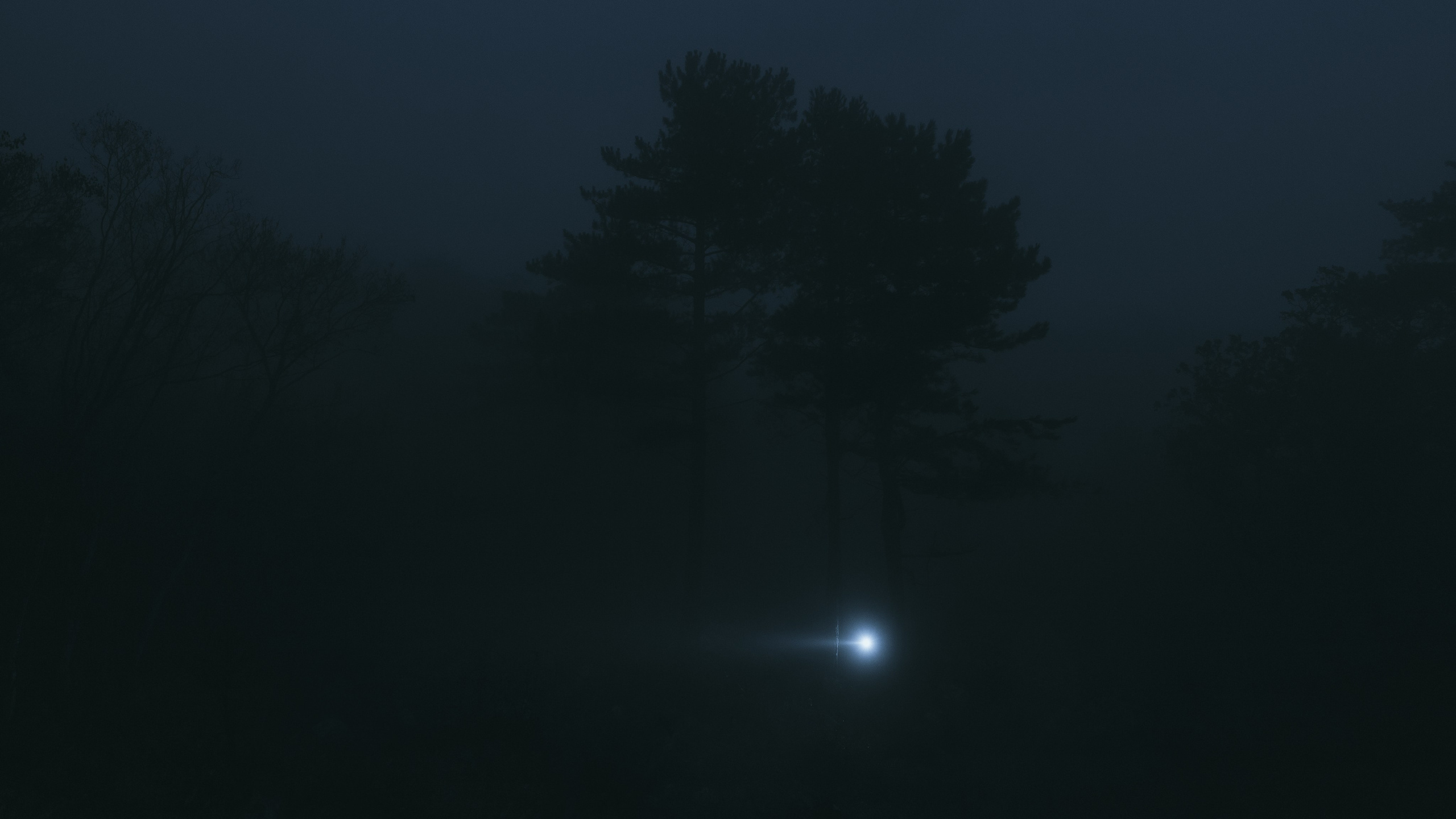 Nature. Артем Корнев Фотограф