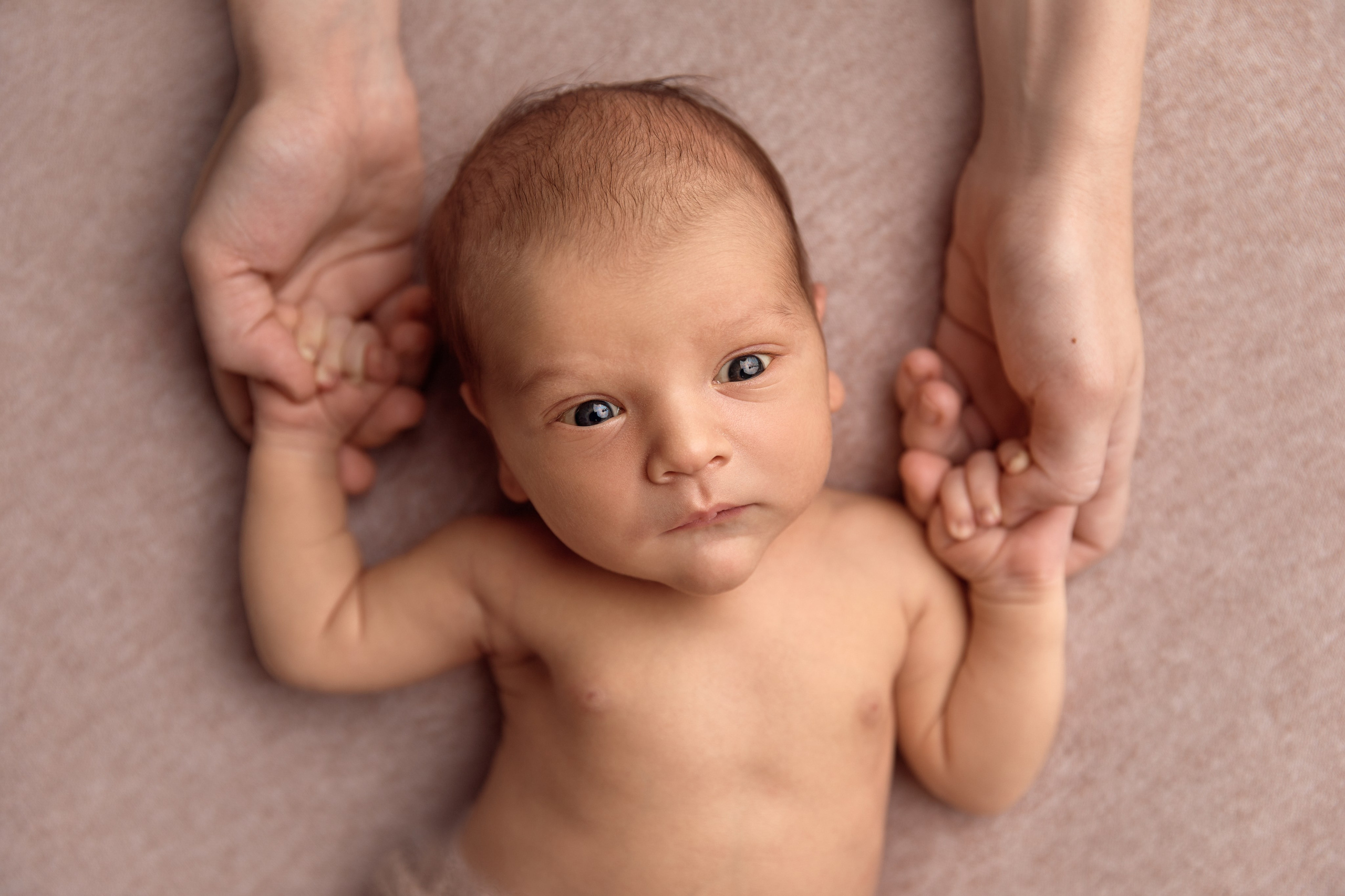 Тариф ОПТИМА. Профессиональный фотограф новорождённых в Москве Елена Сатюкова