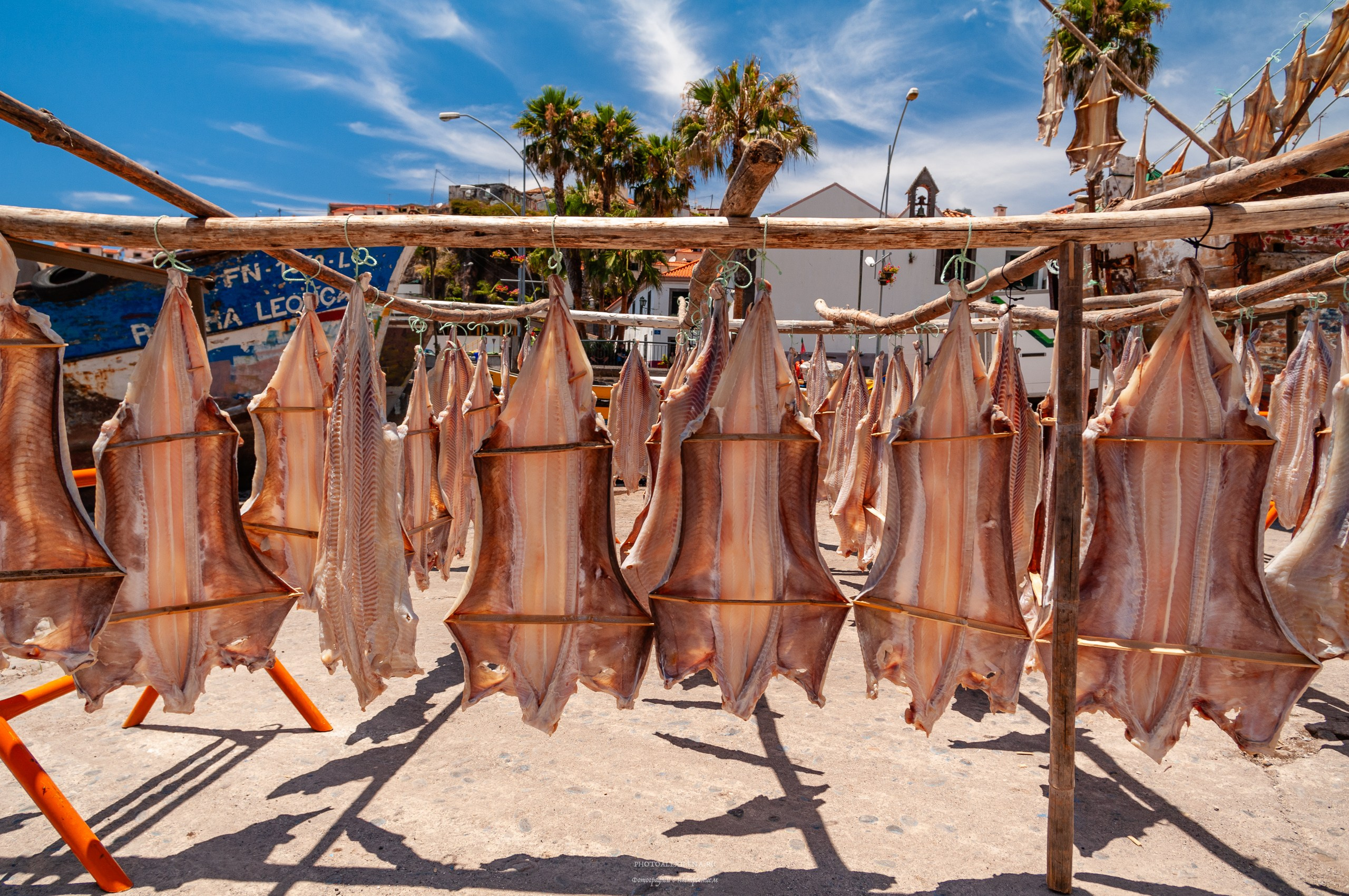 Решающий момент. Авторские стильные фотокартины