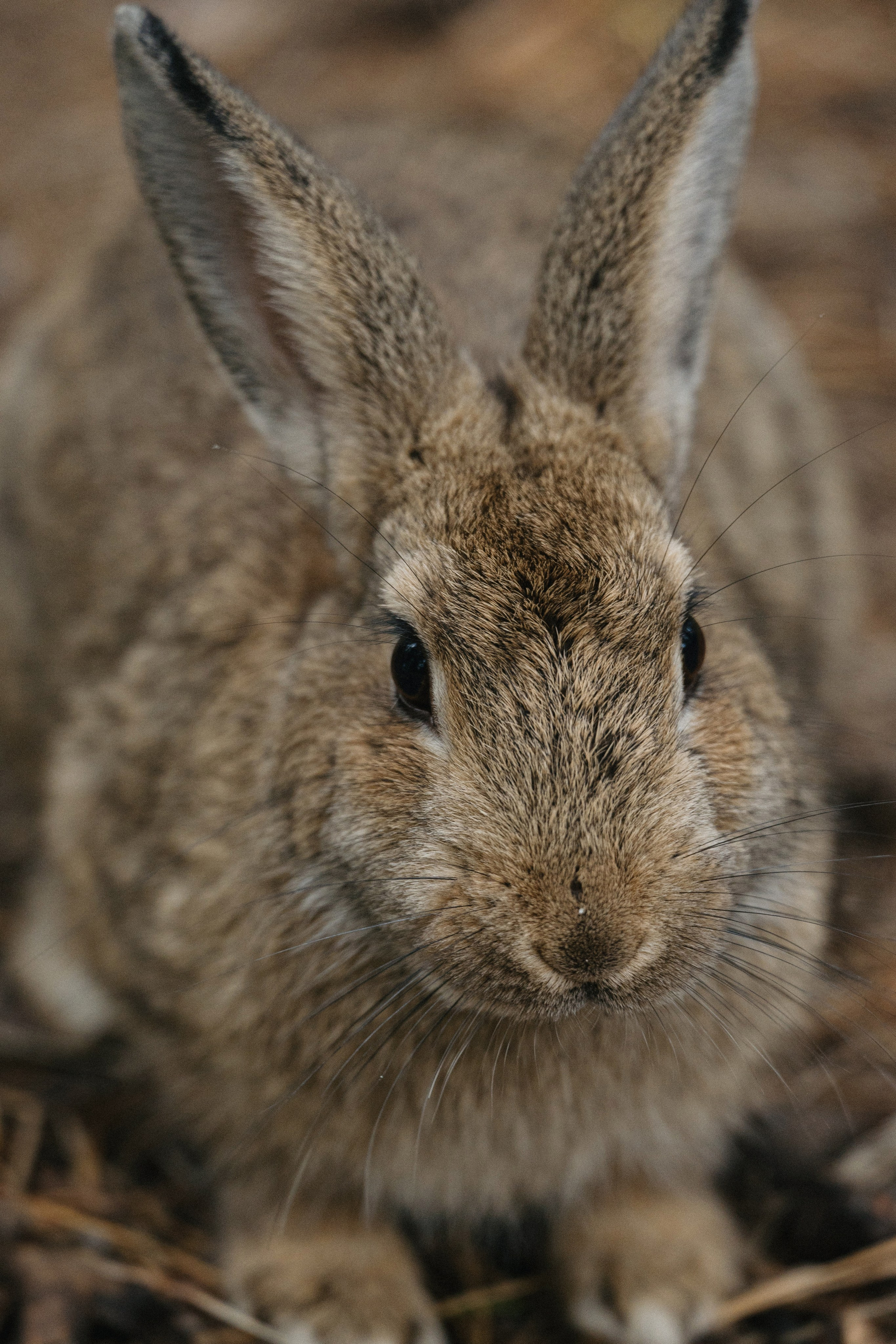 07 сентября 2024. Фотограф Томск, Новосибирск Влад Свириденко